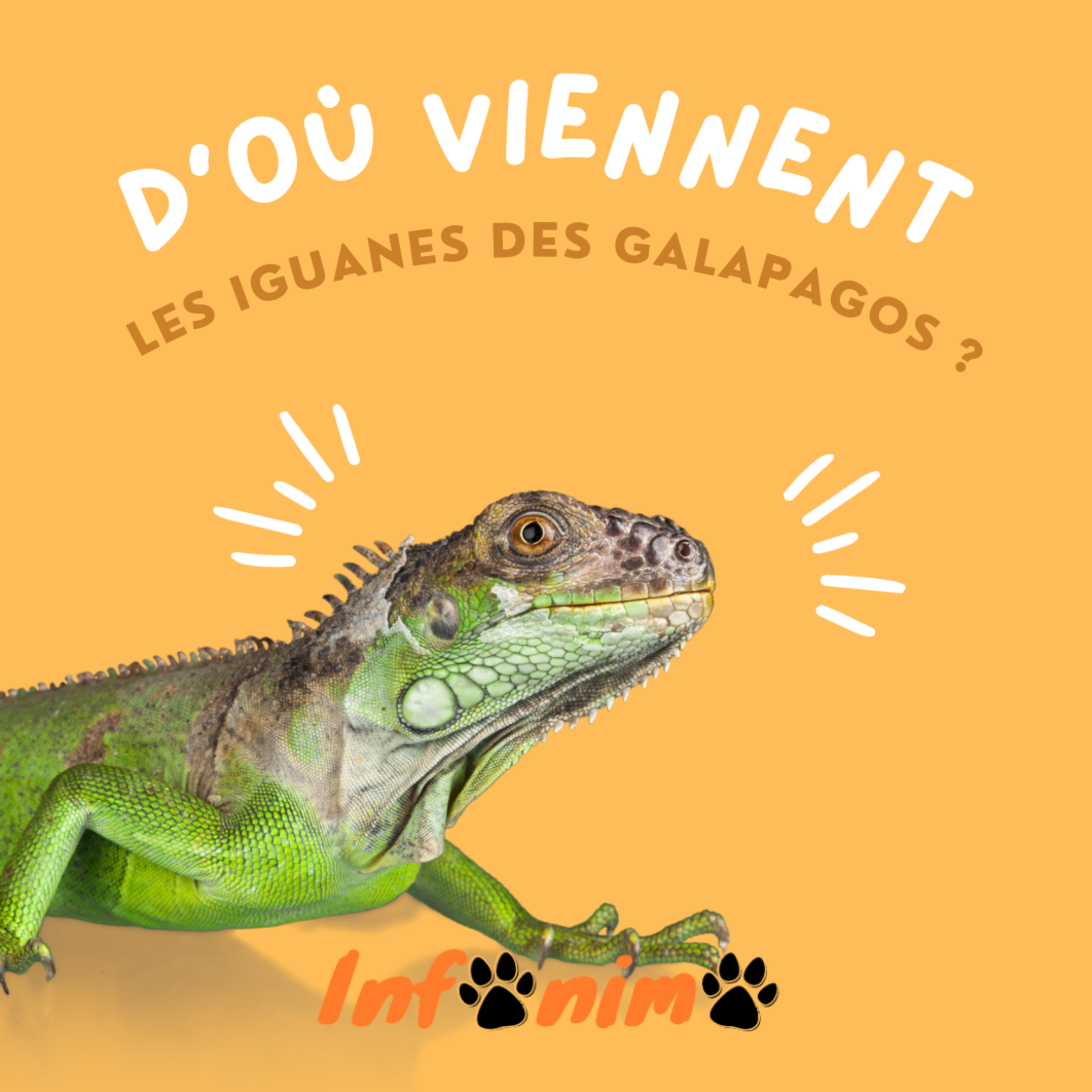 Infonimo, les infos en Audio !