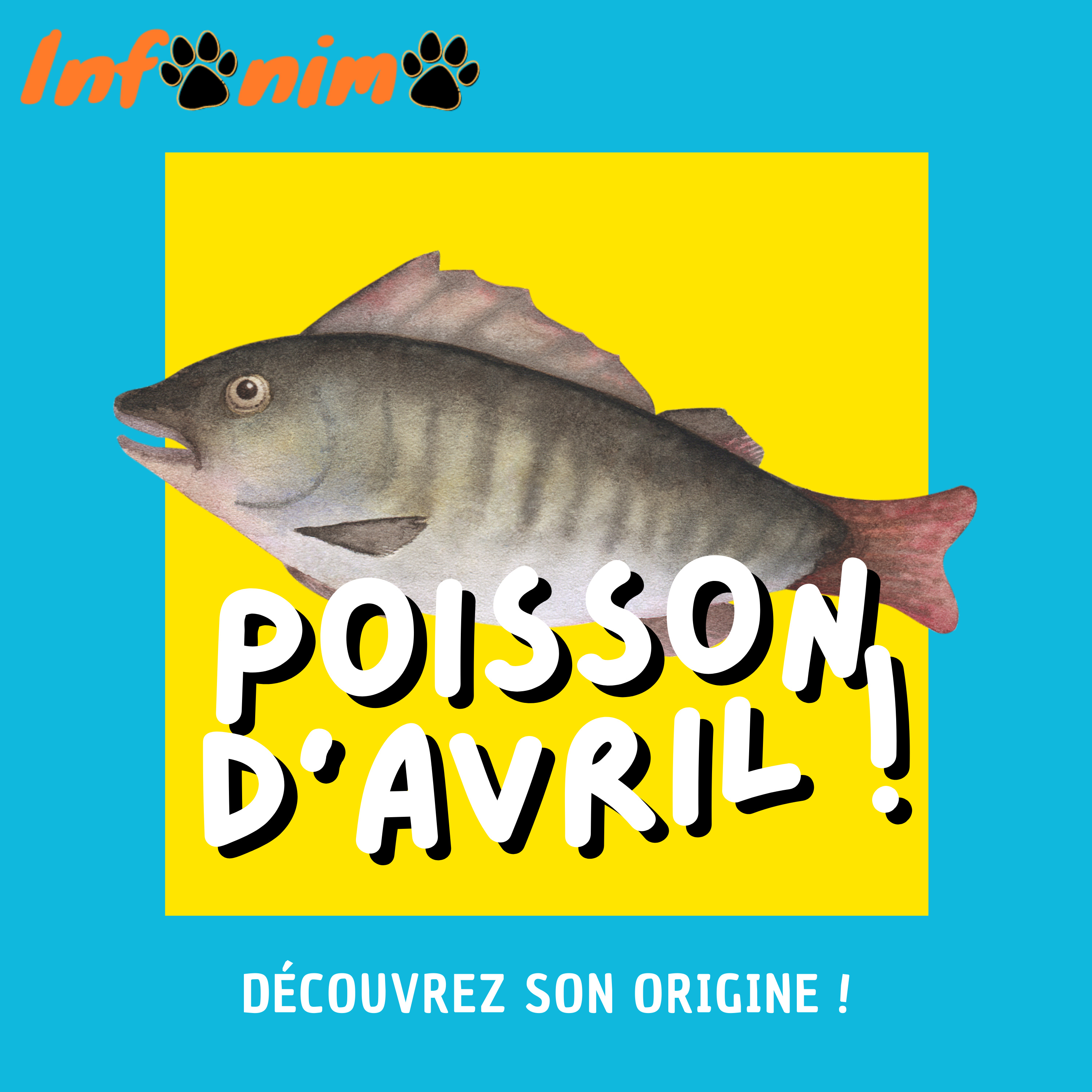 Infonimo, les infos en Audio !