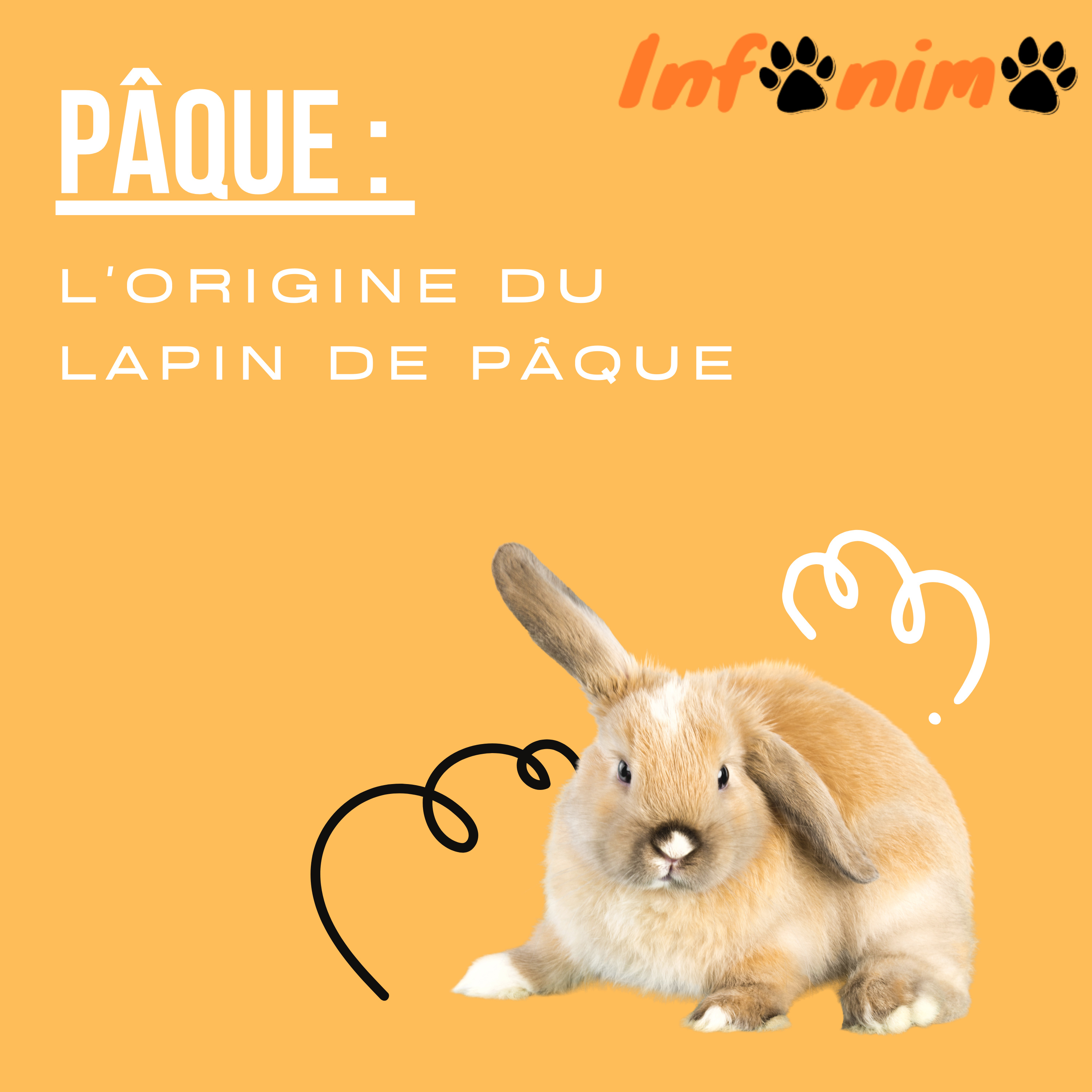 Infonimo, les infos en Audio !