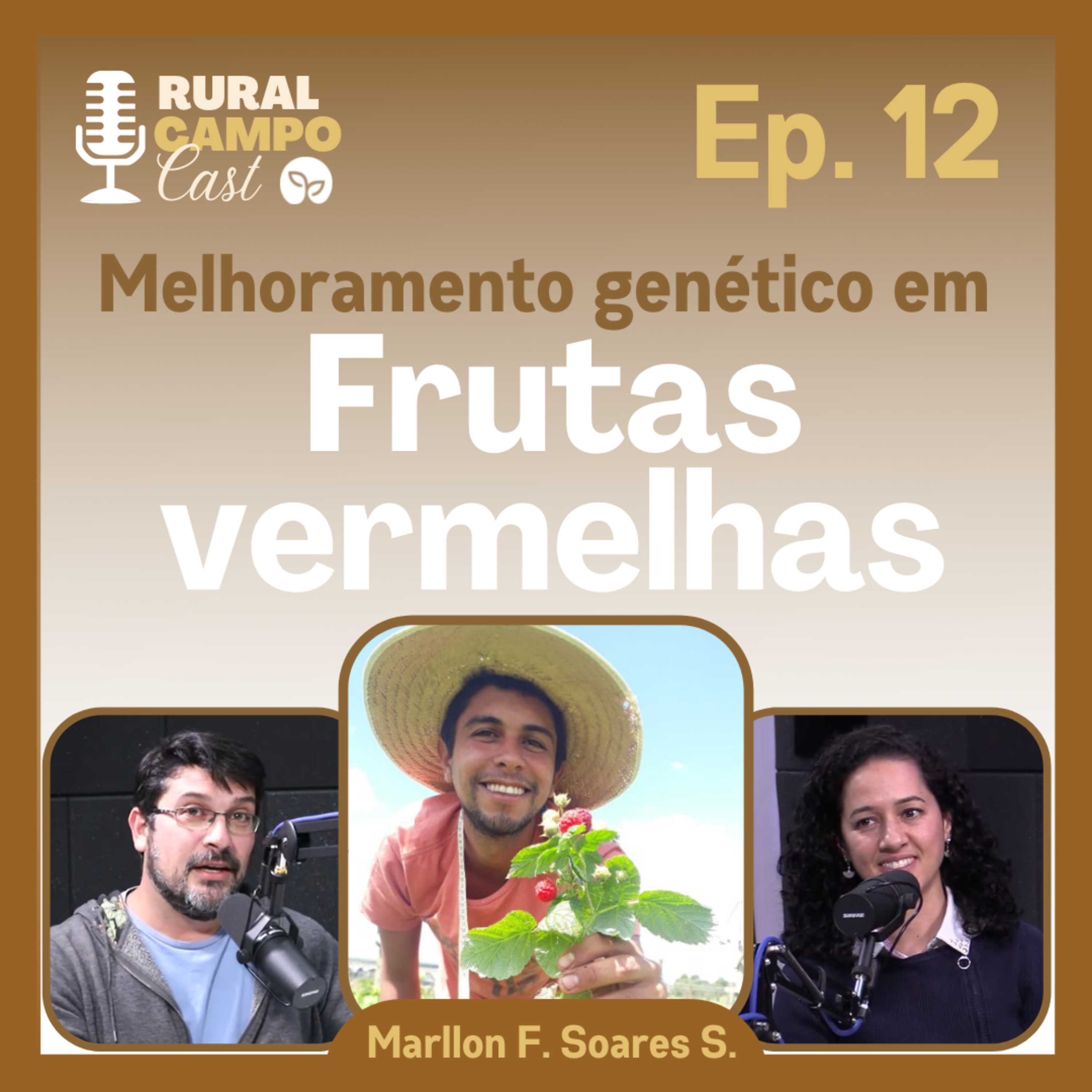RuralCampoCast / Ep. 12 - Melhoramento Genético em frutas vermelhas  episode artwork