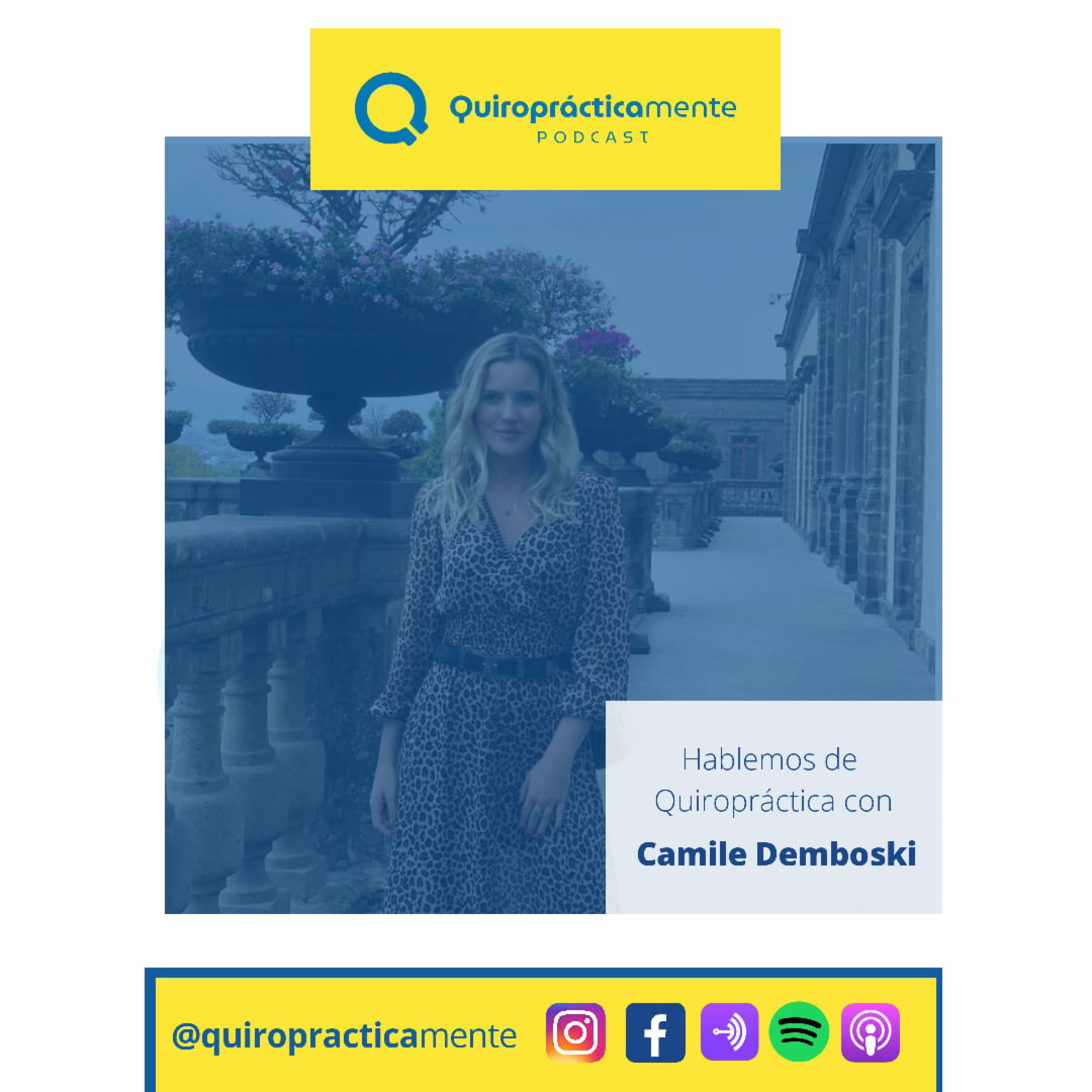 Quiropracticamente