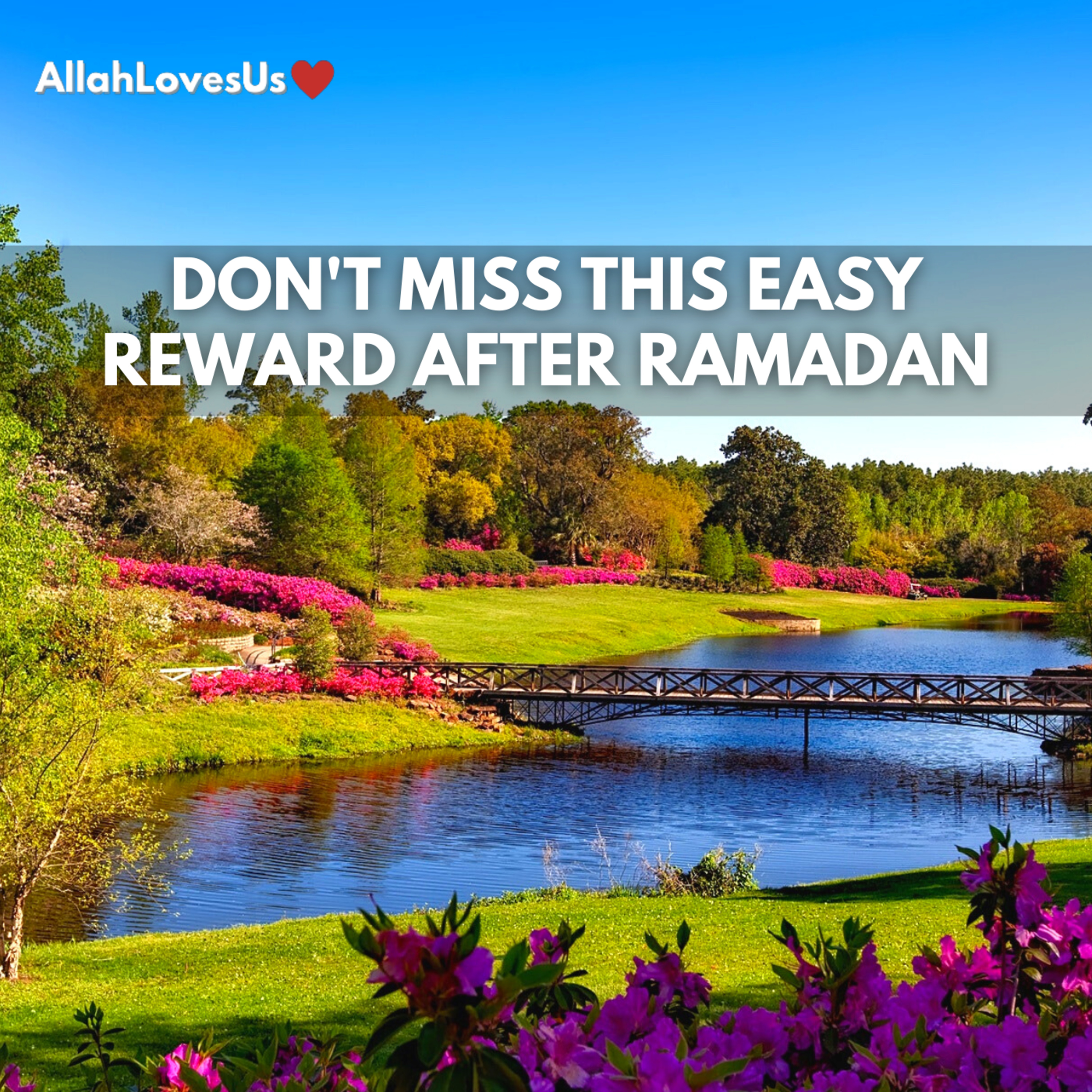 Islamic Reminders For Real Life Problems