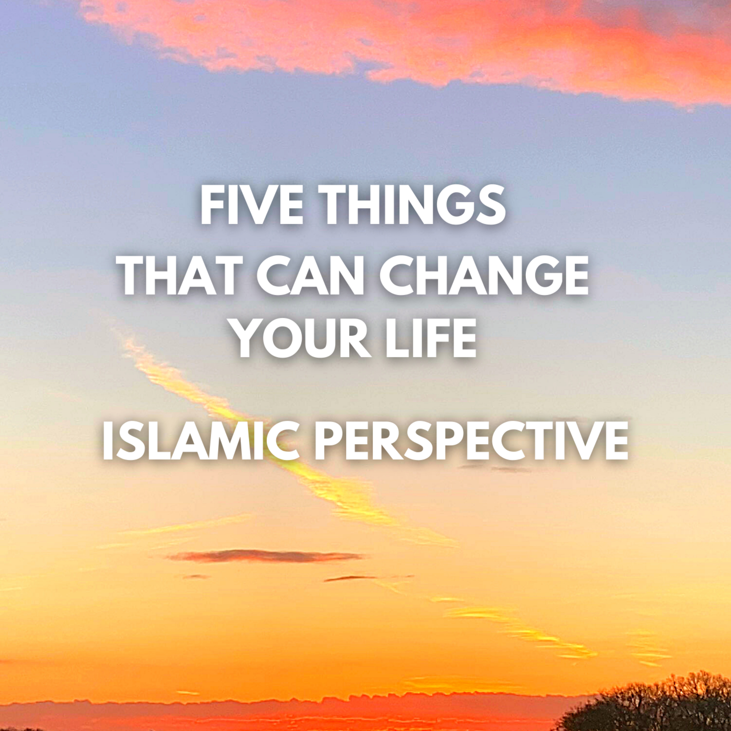 Islamic Reminders For Real Life Problems