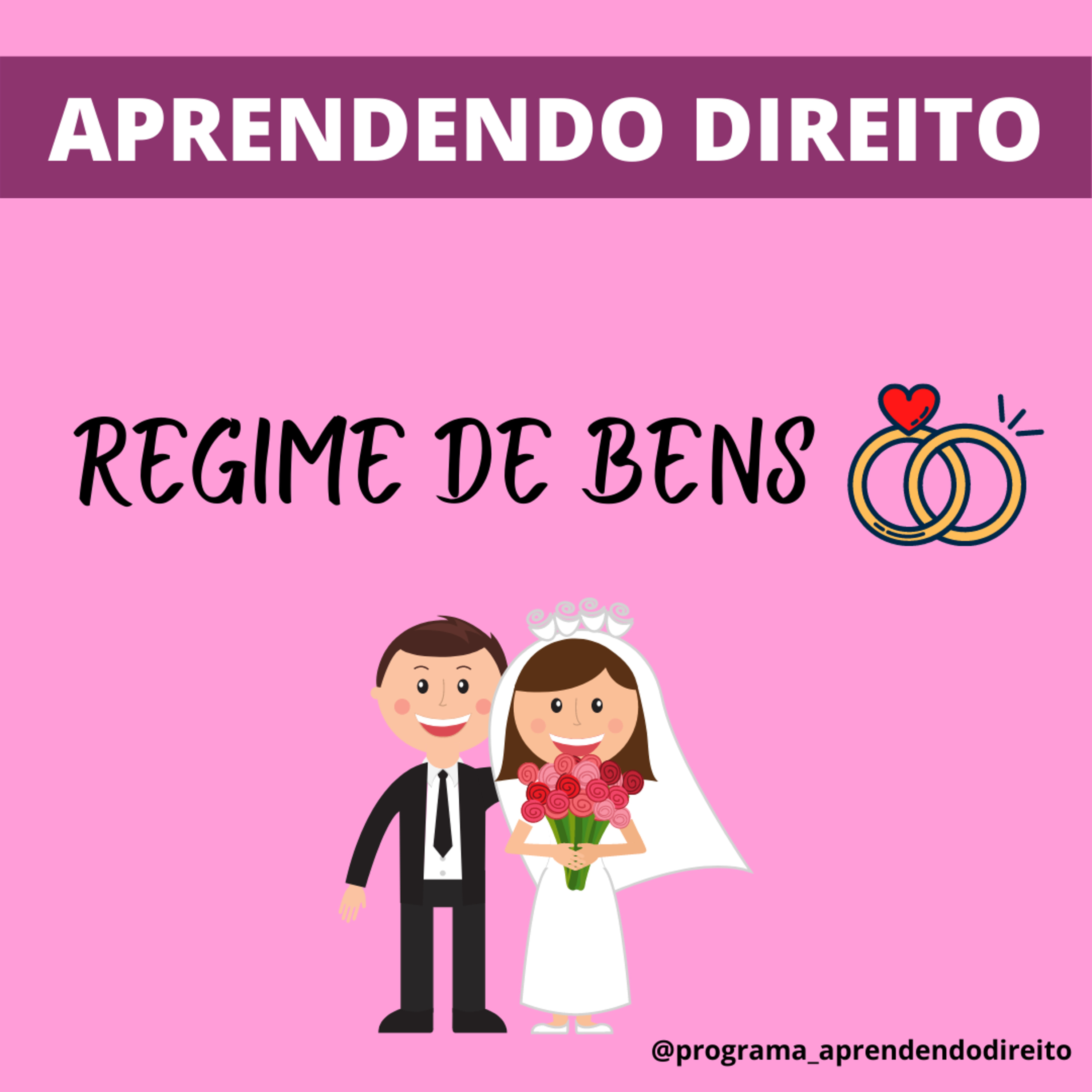 Aprendendo Direito