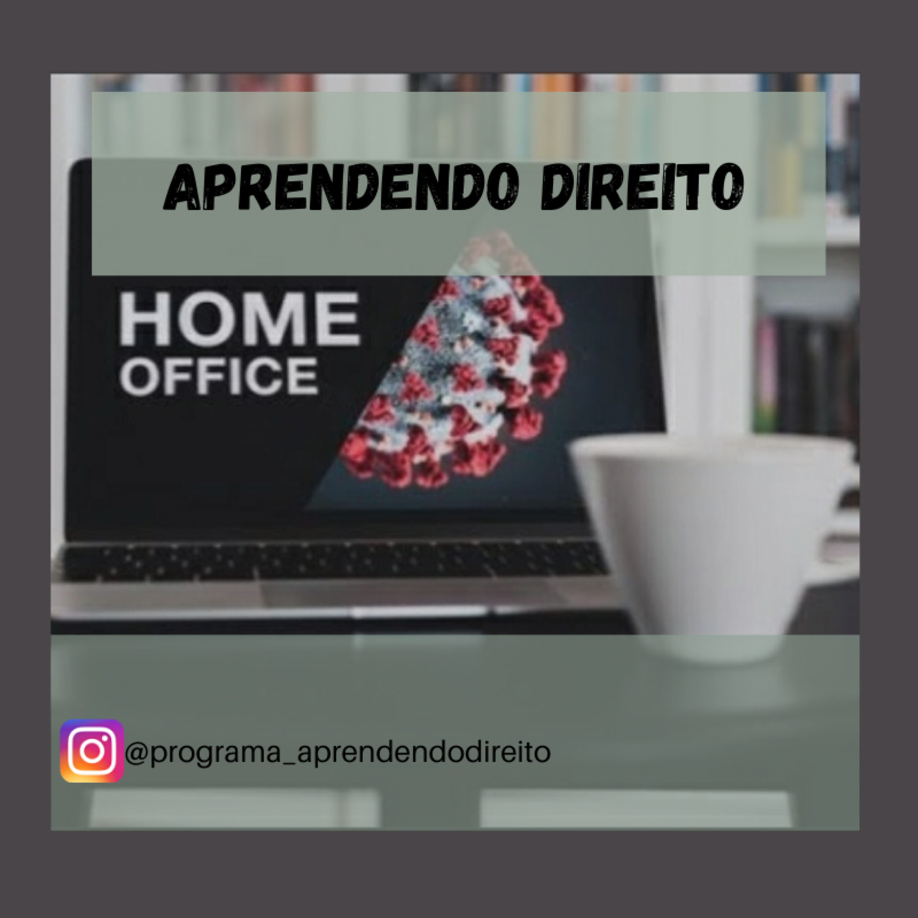 Aprendendo Direito