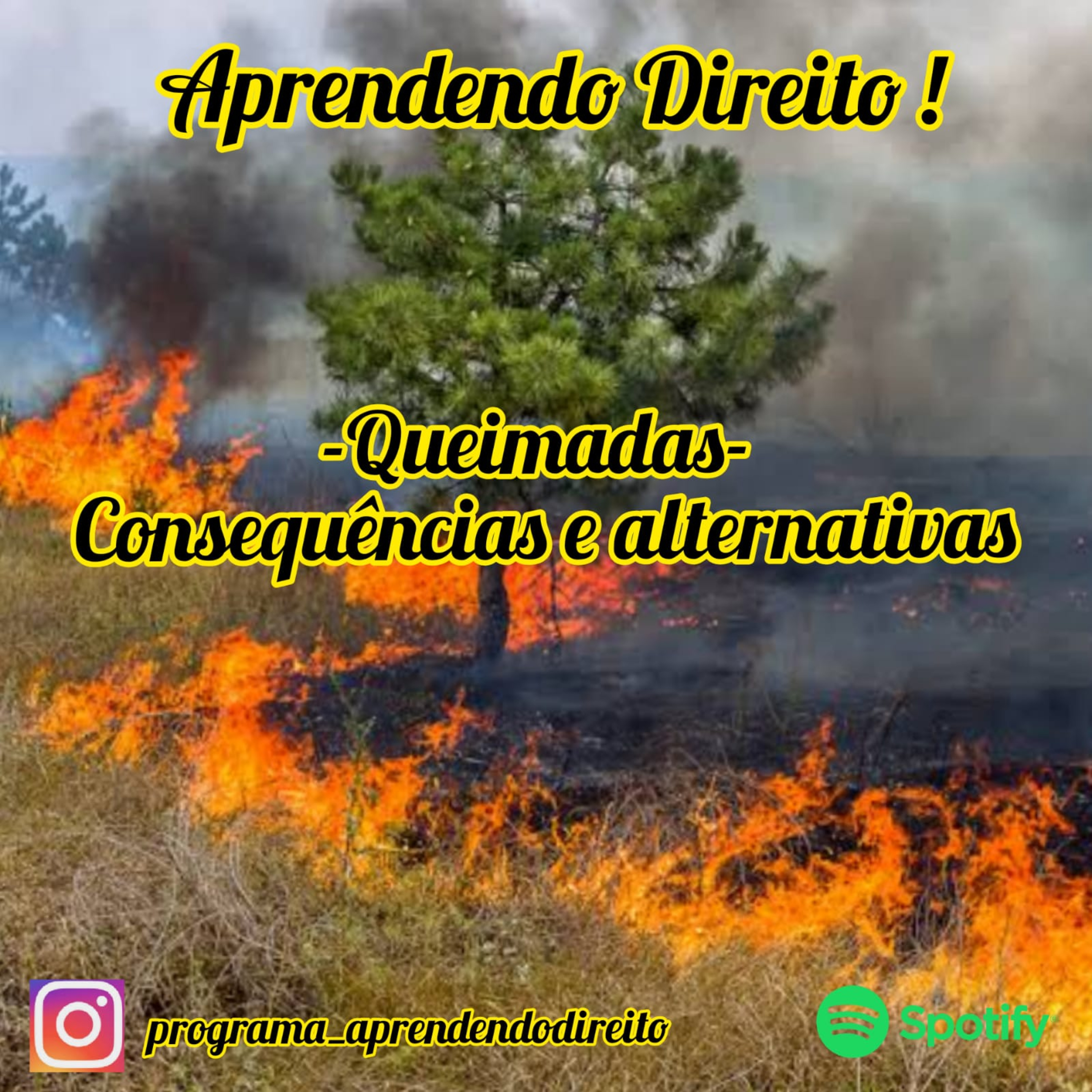Aprendendo Direito