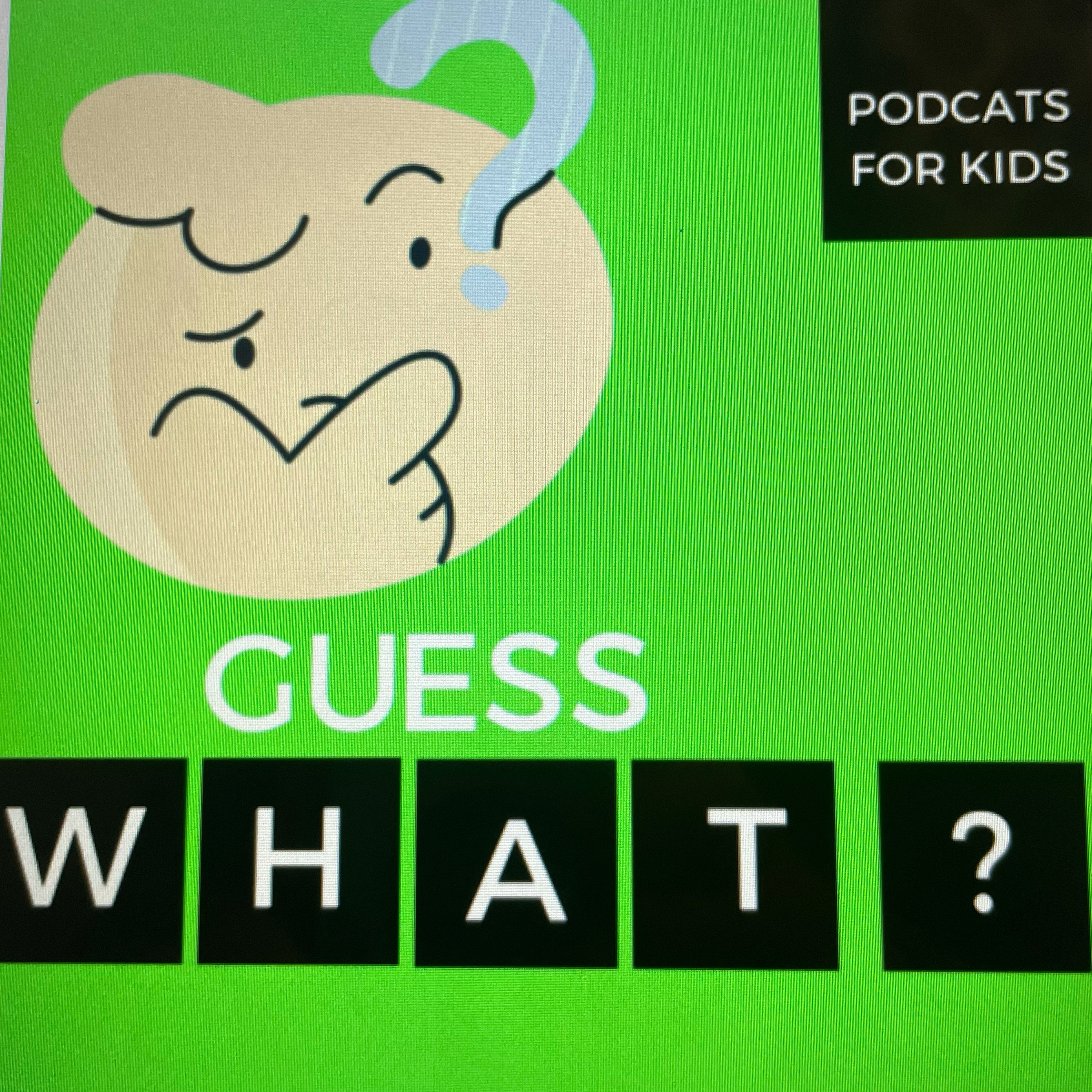 What are Magic Words?