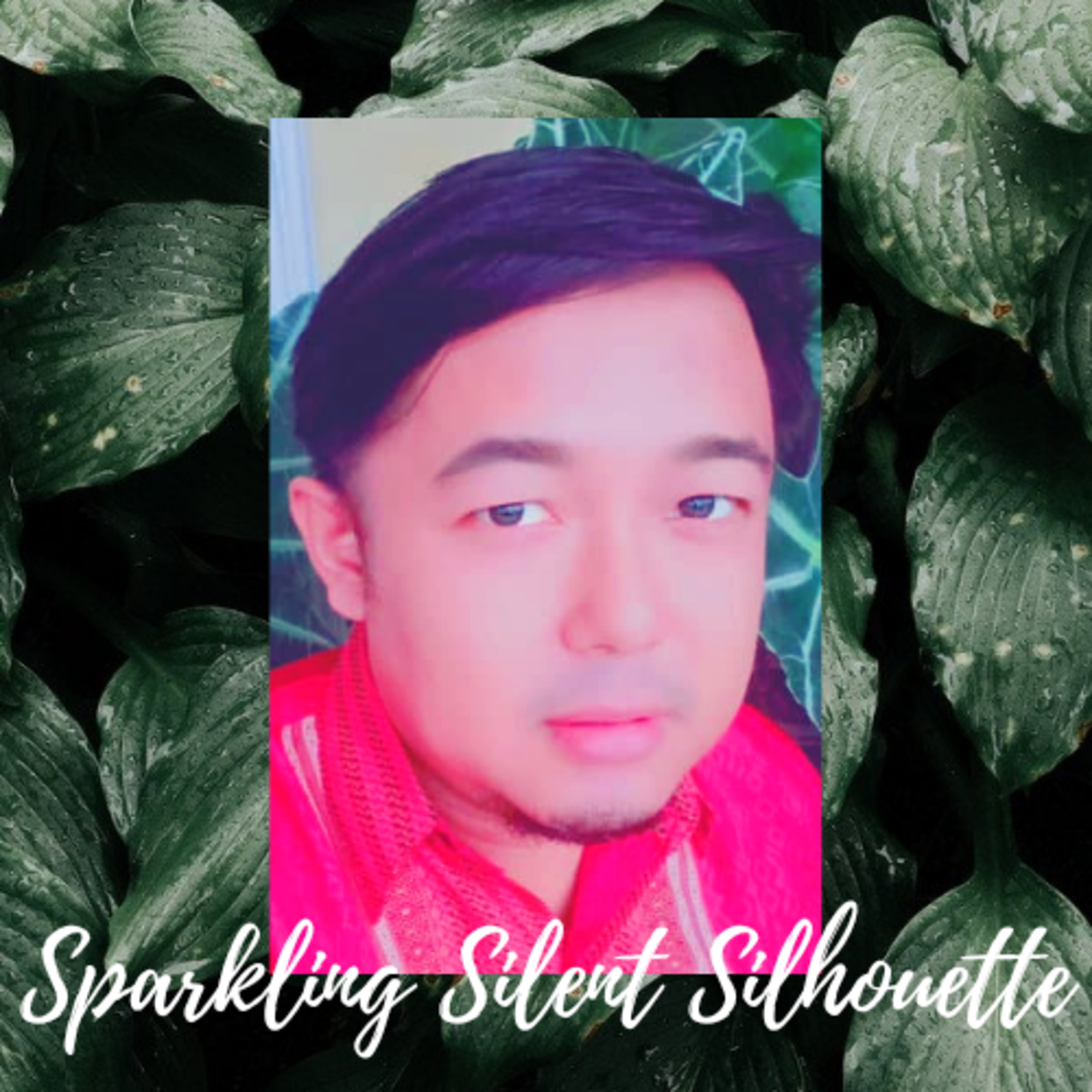 Sparkling Silent Silhouette