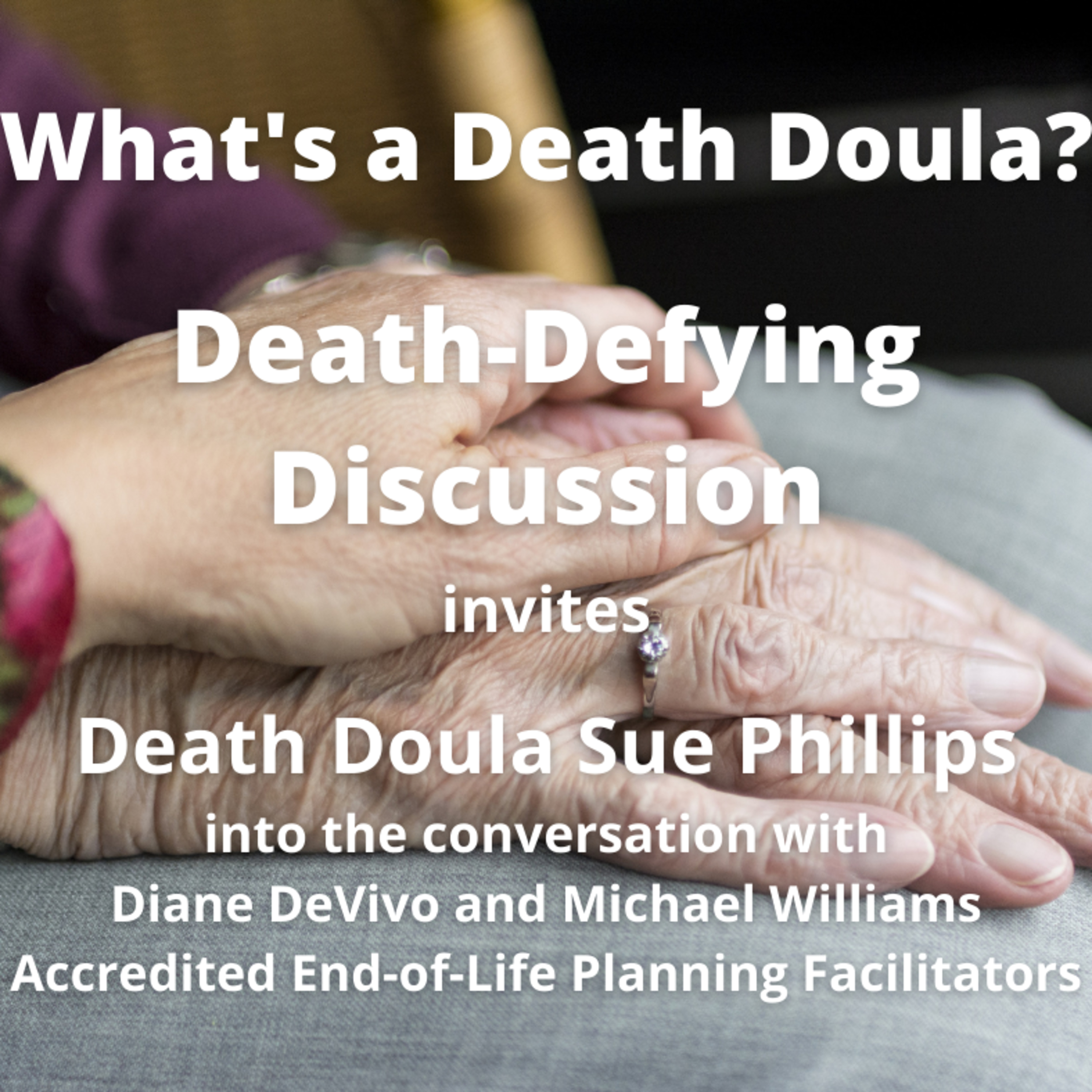 Death-Defying Discussions Podcast with Diane DeVivo and Michael Williams