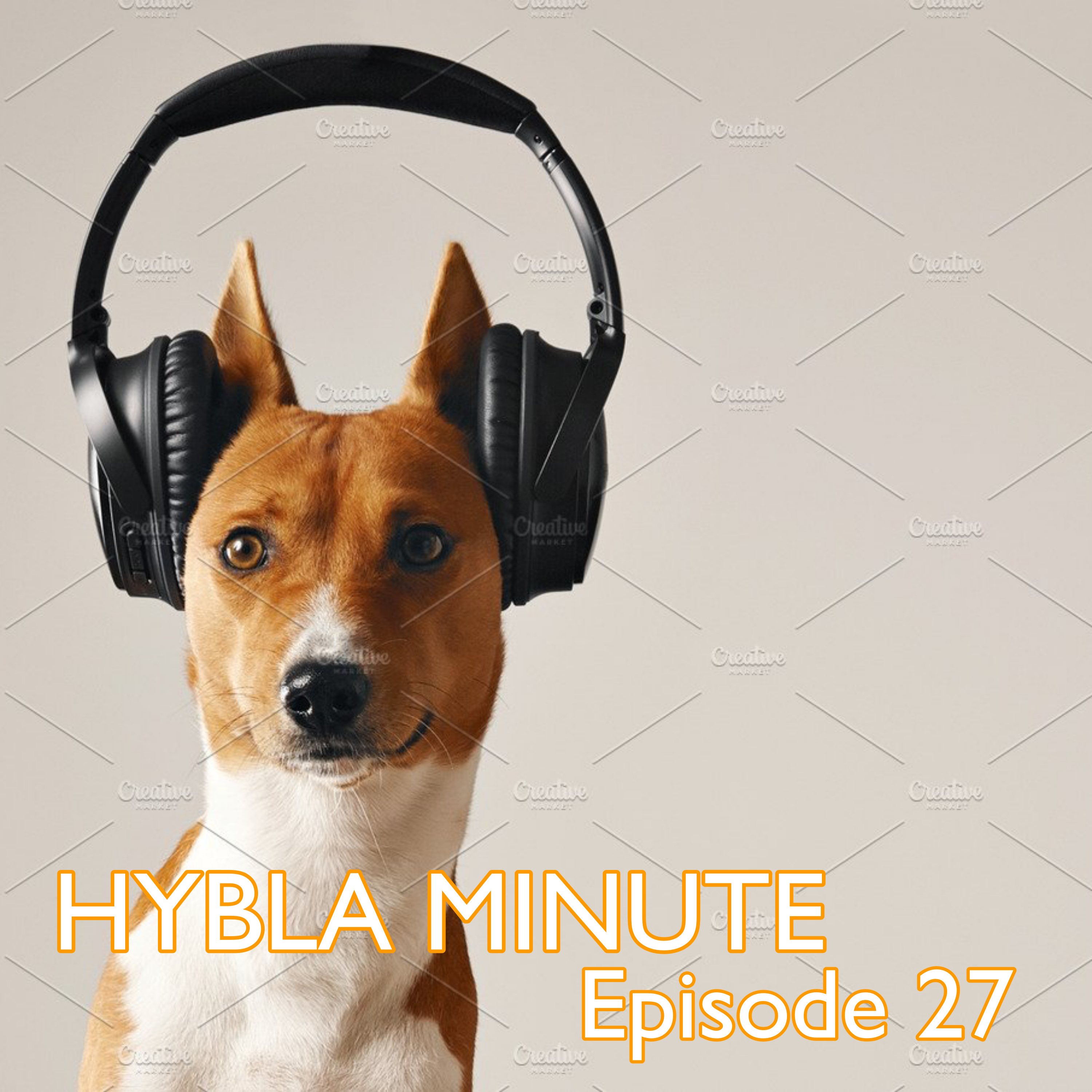 HYBLA MINUTE