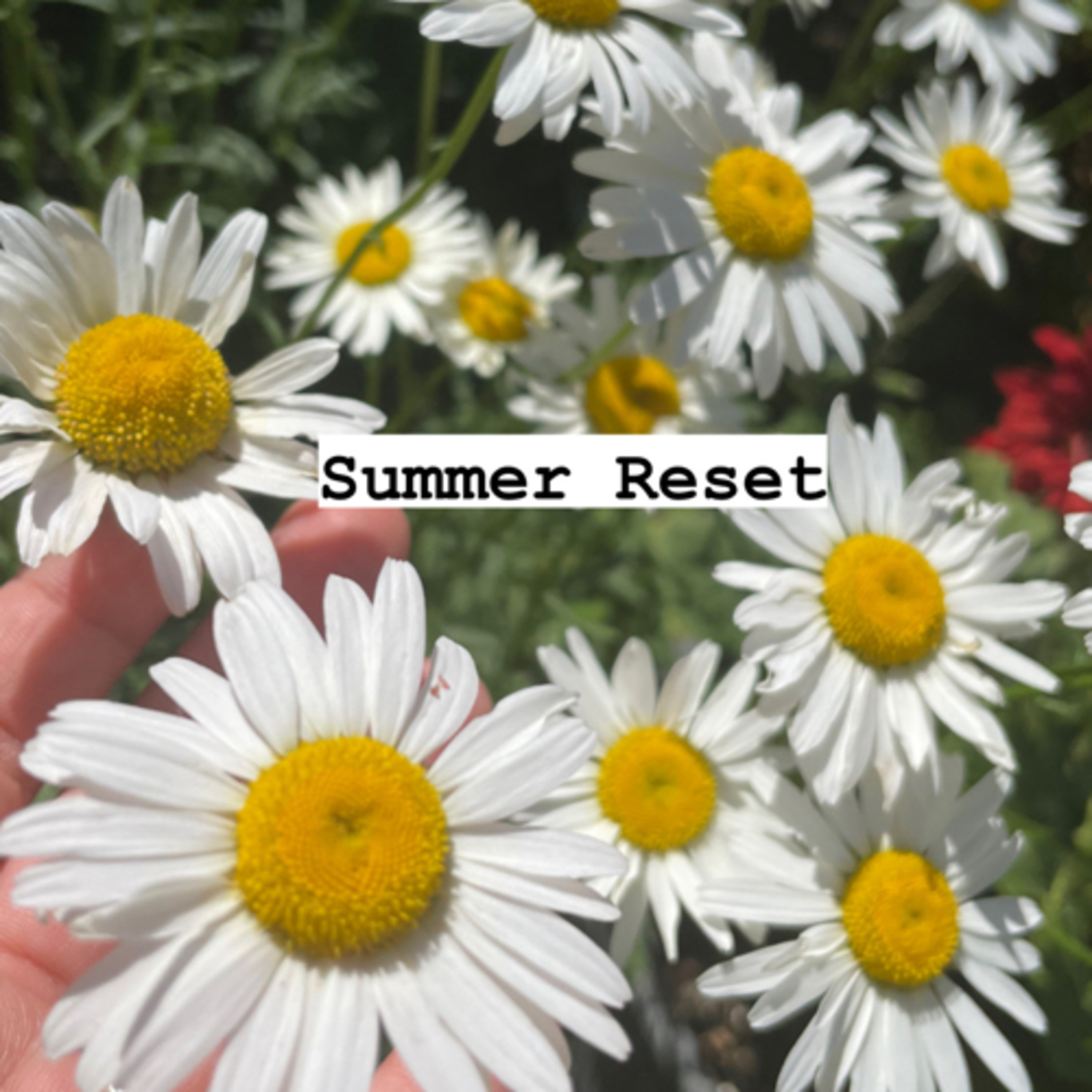 Reset de Verano. Recomenzar ☀️ episode artwork