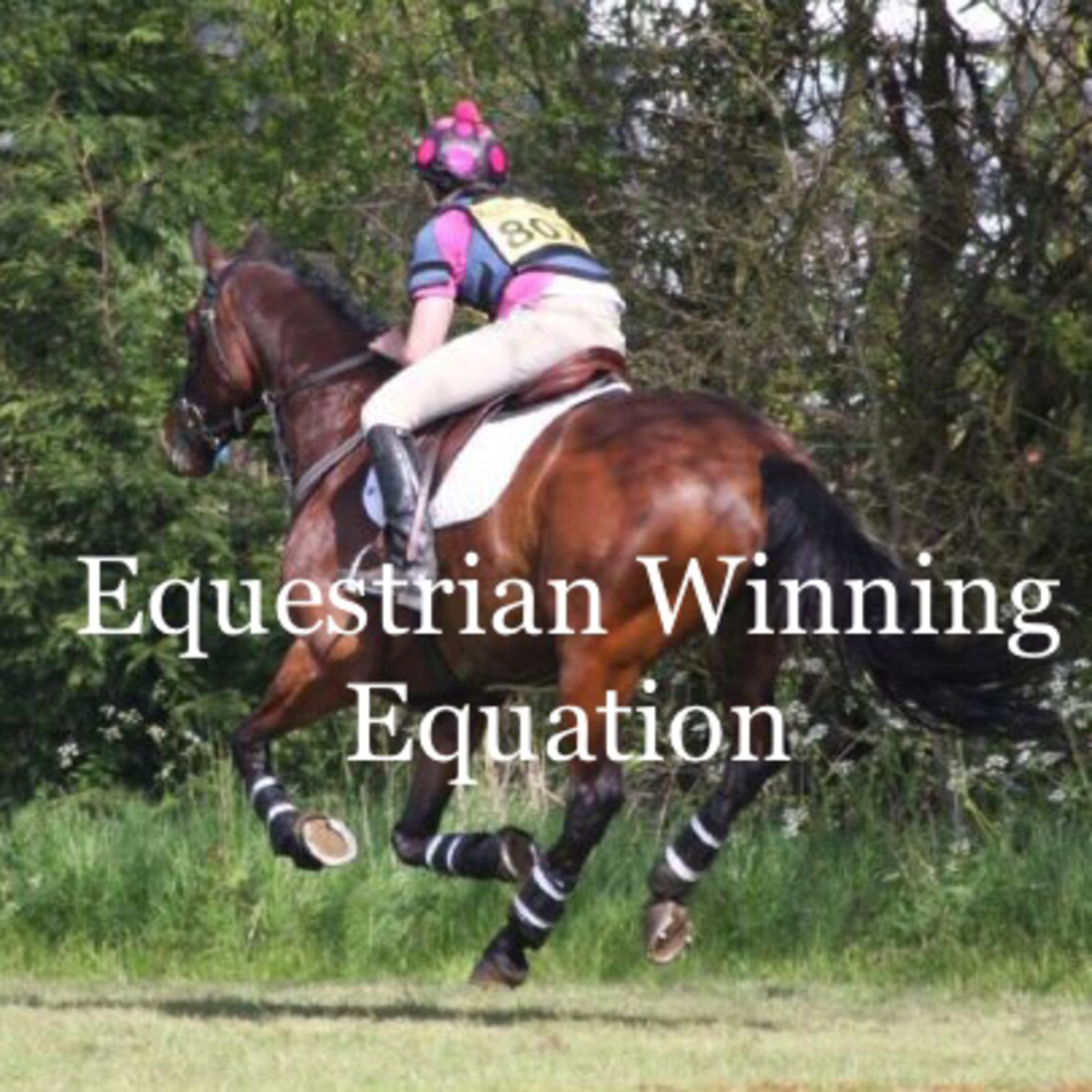 Equestrian Winning Equation Podcast 1 Equestrian Winning Equation Podcast 1