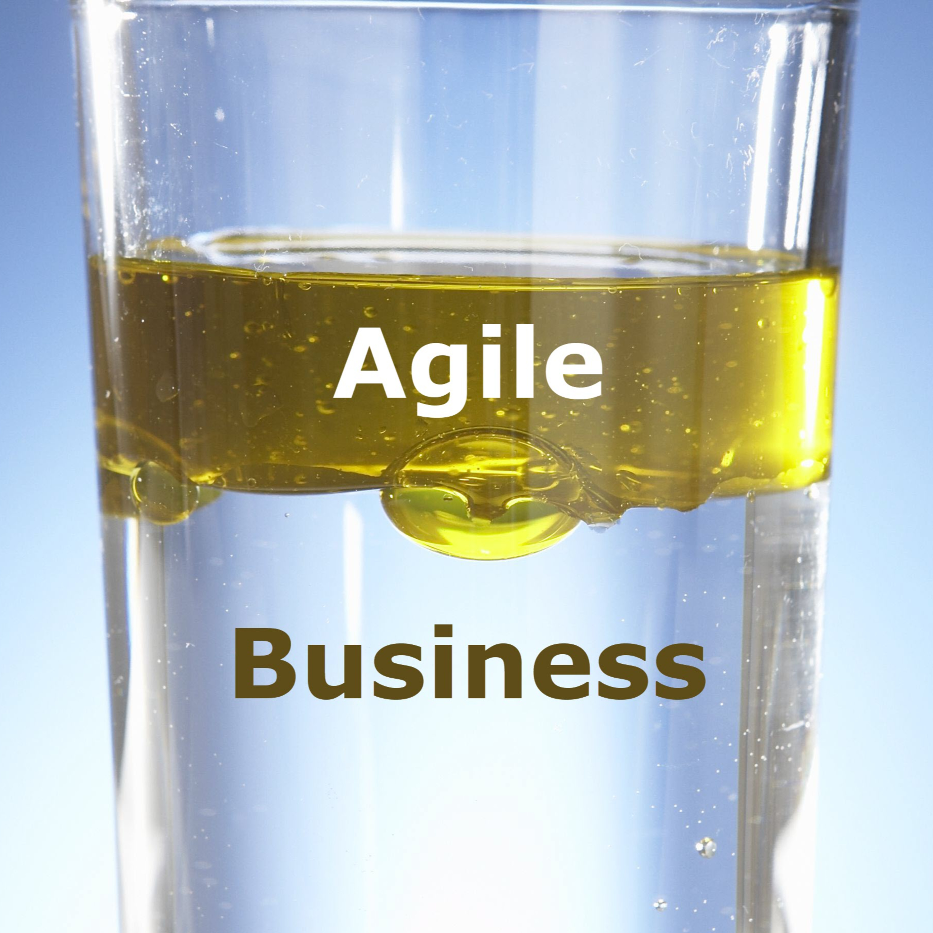 BarcVox. The voice of enterprise business architecture and more.