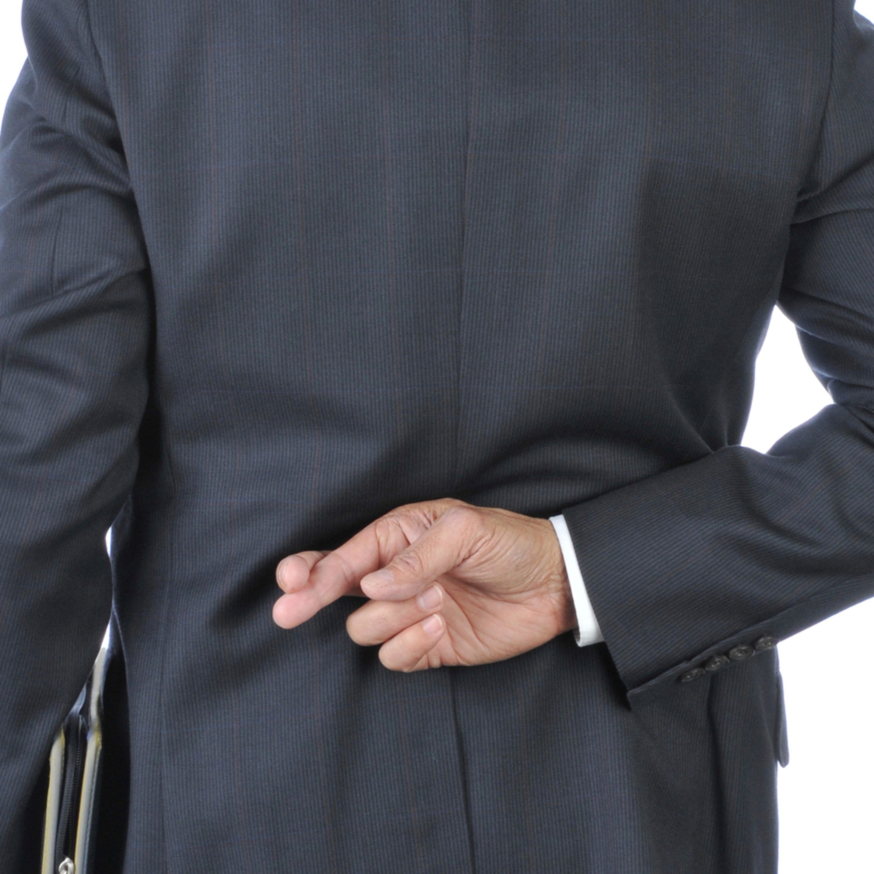 BarcVox. The voice of enterprise business architecture and more.