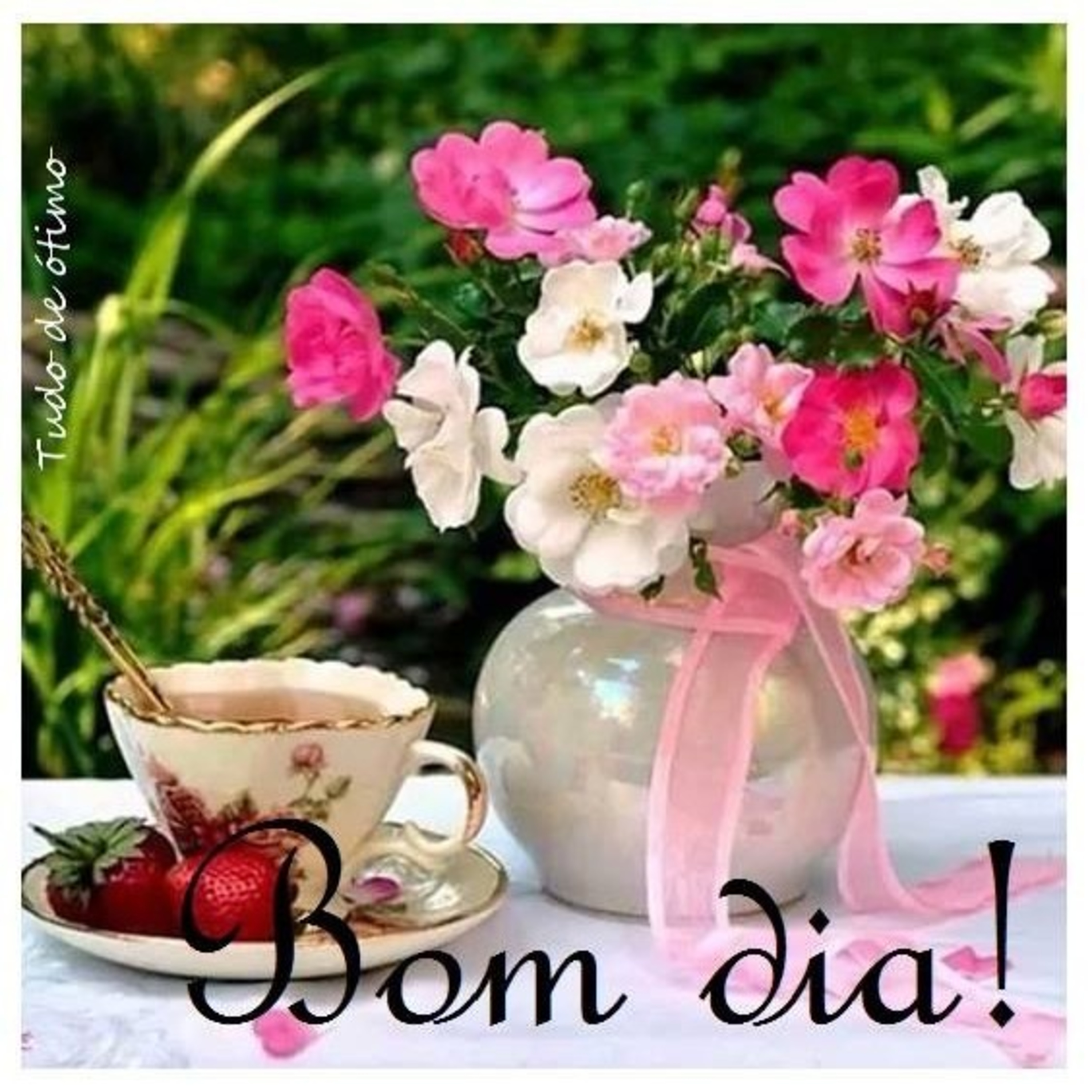 Aula De Português