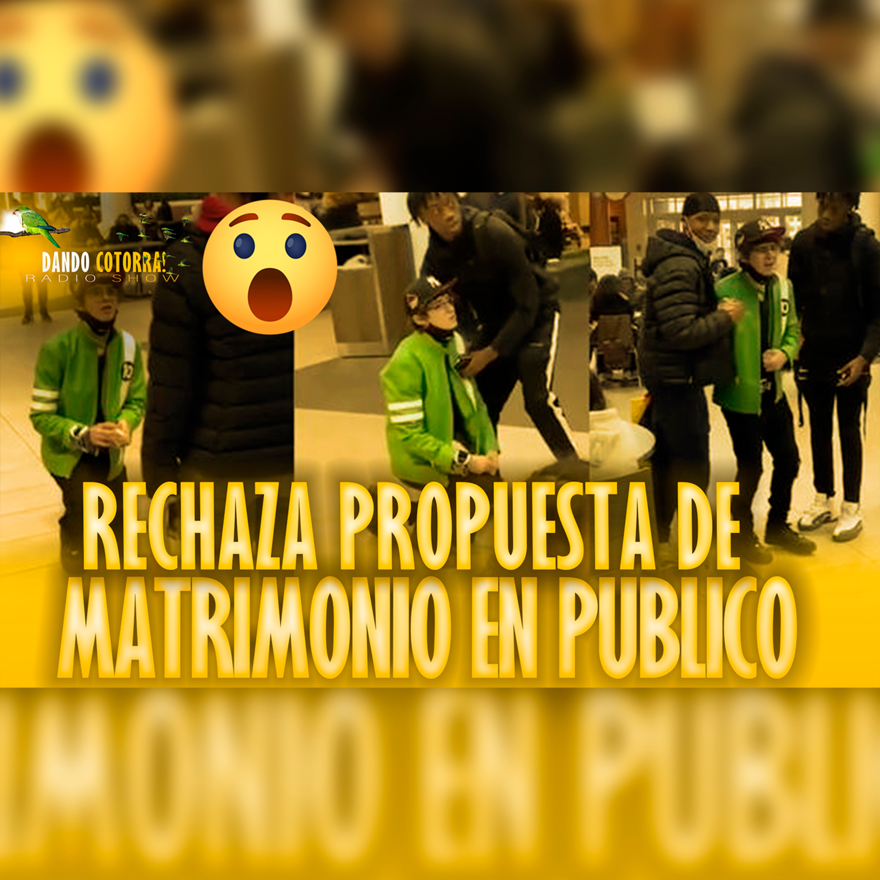 Dandocotorra
