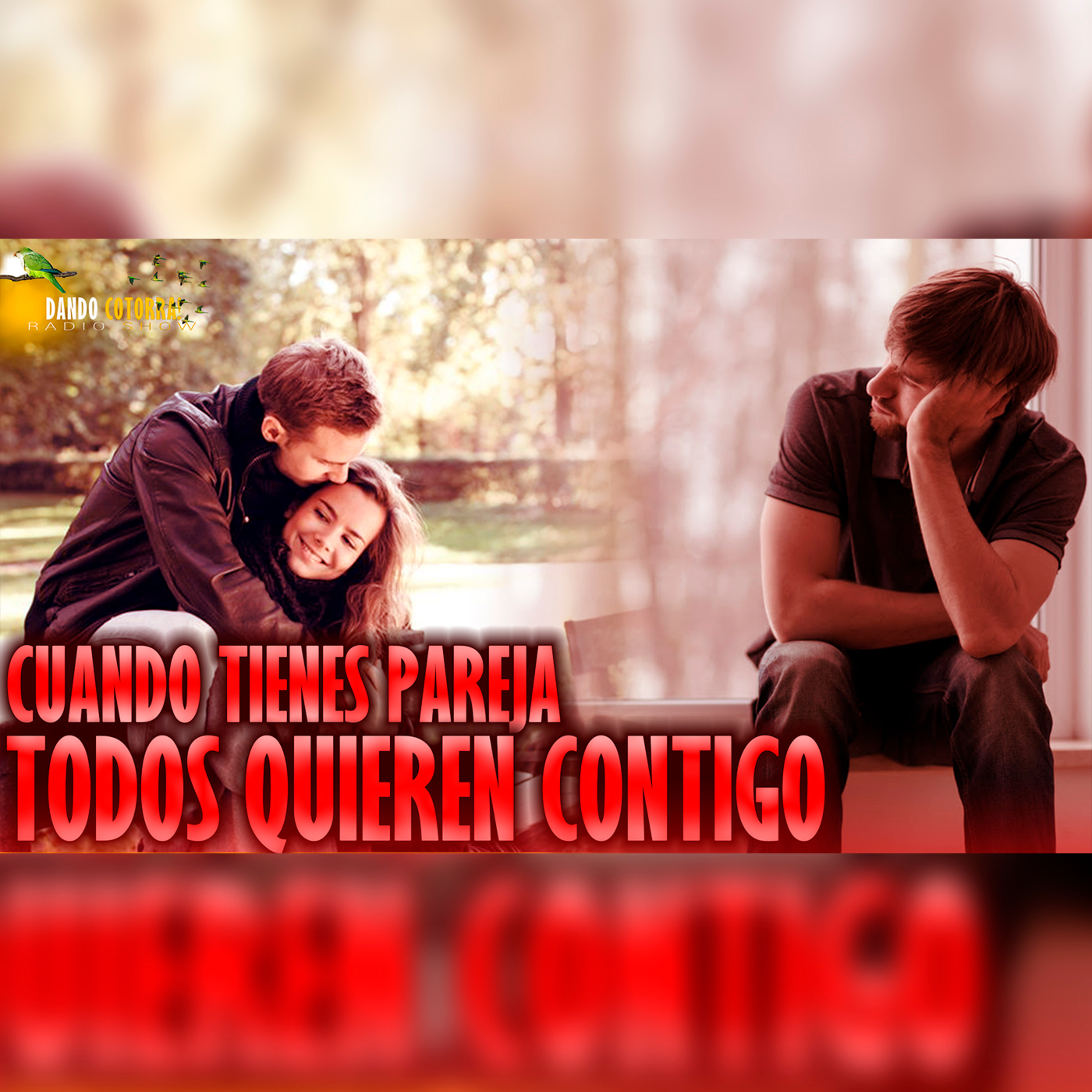 Dandocotorra