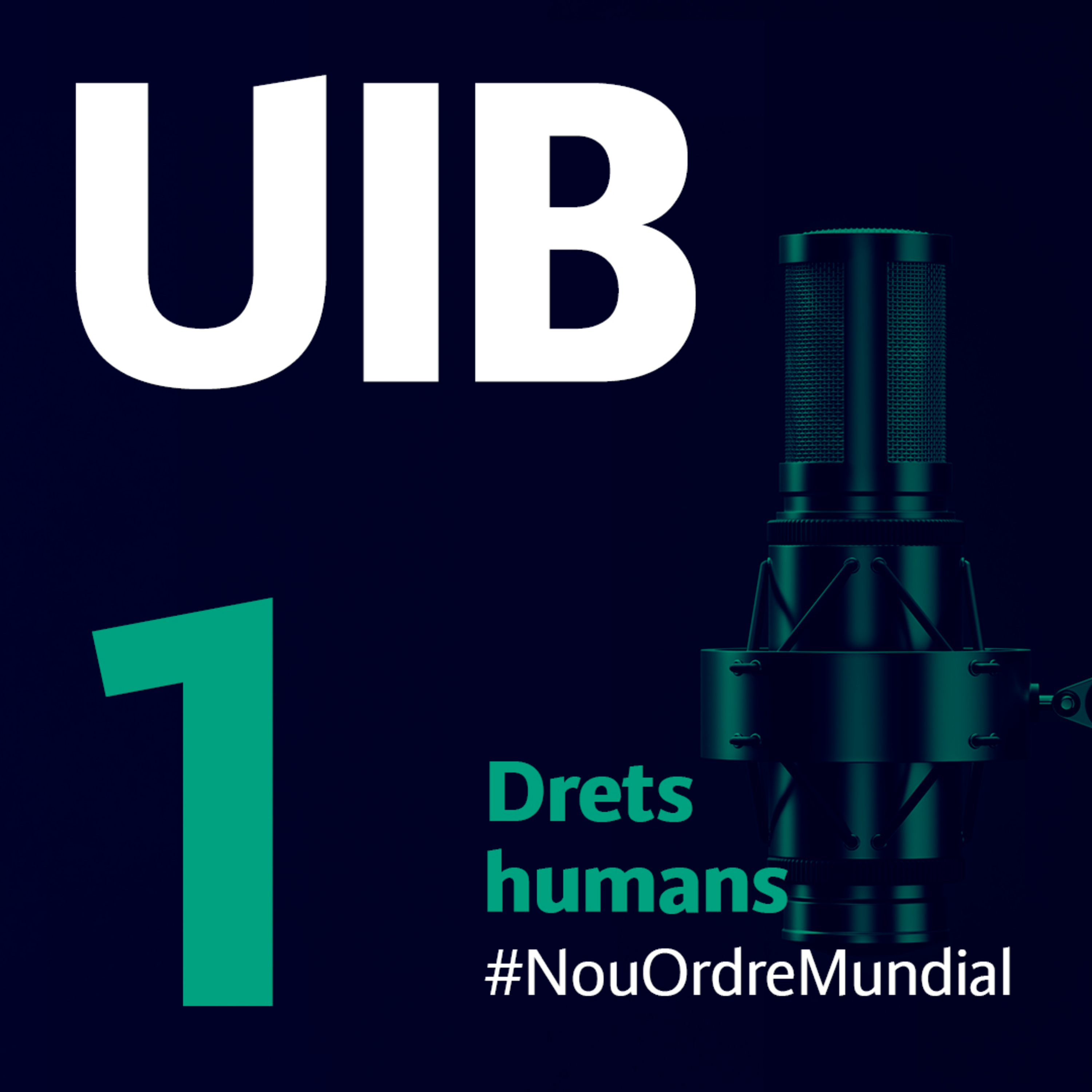 Situació i vigència dels drets humans al món. Reflexions #NouOrdreMundial  episode artwork