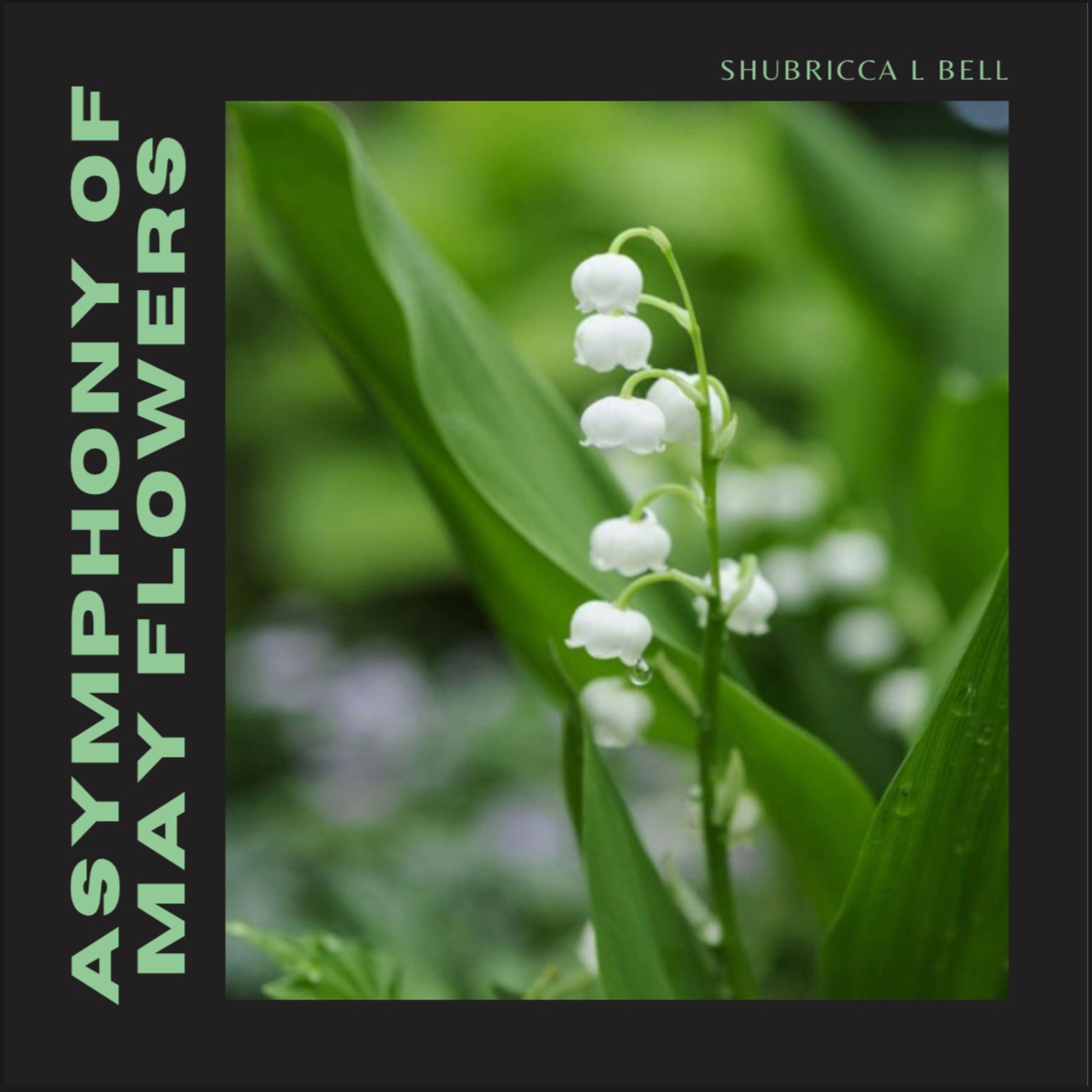 Shubricca L Bell