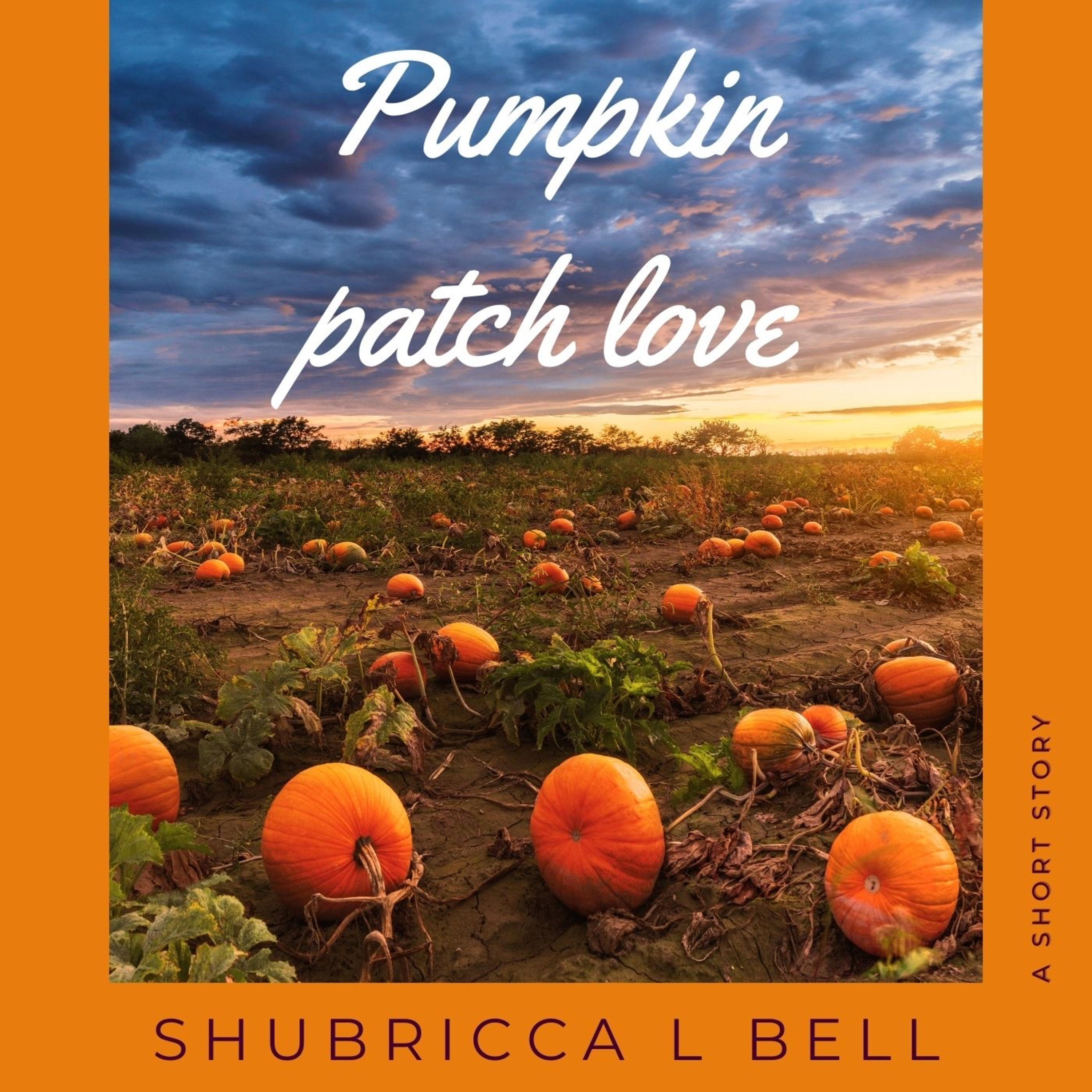 Shubricca L Bell