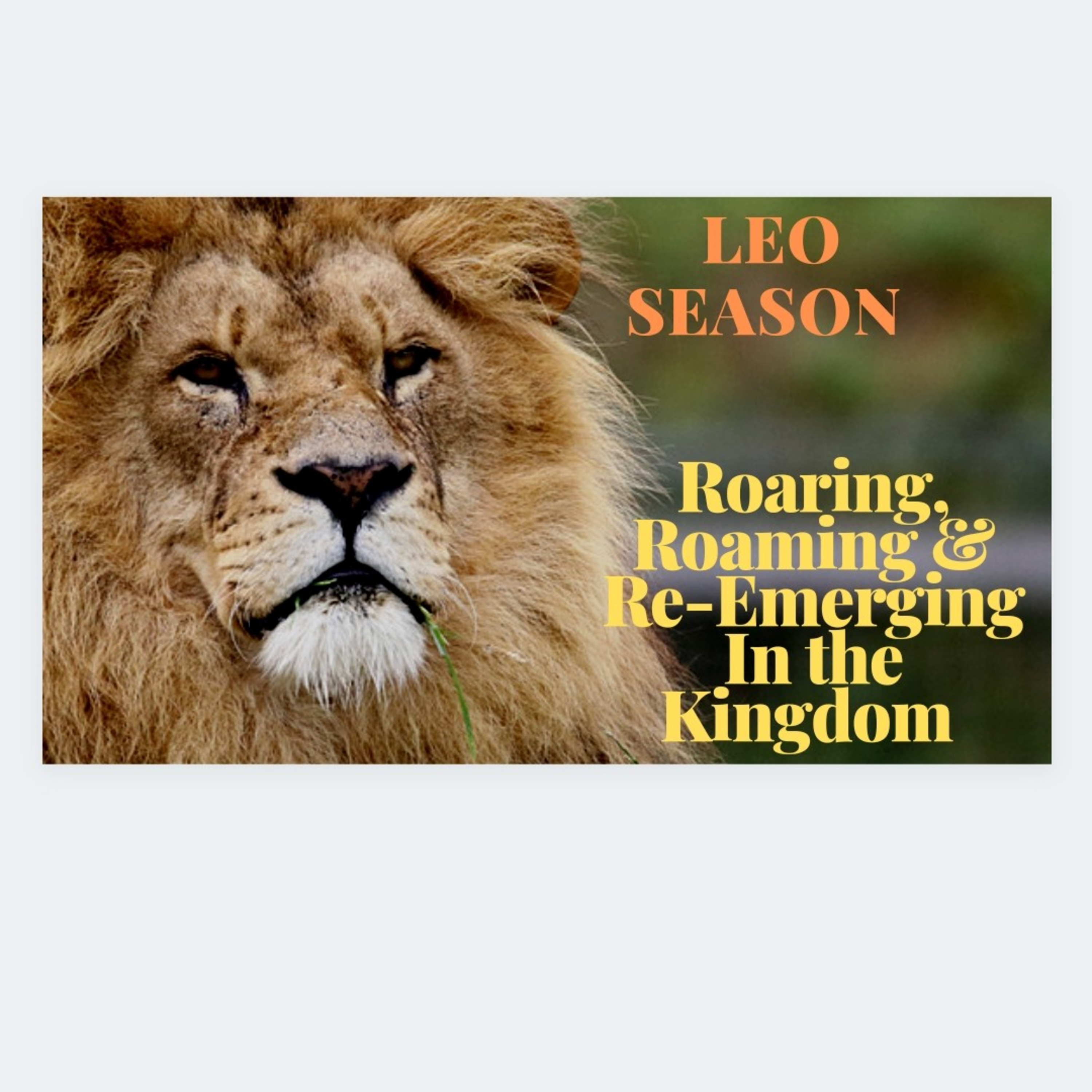 Welcome To Leo Season!! Letting Your Inner Roar....Roarrrrrr!💛🦁💥 episode artwork