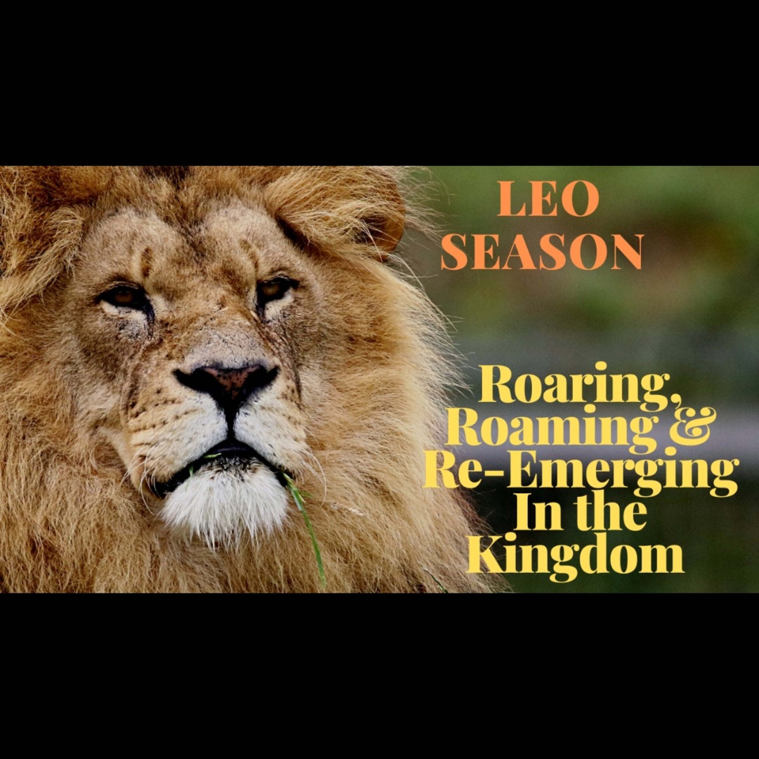 The Loudest Roar Is The Smallest Threat! 🦁💥🦁 episode artwork