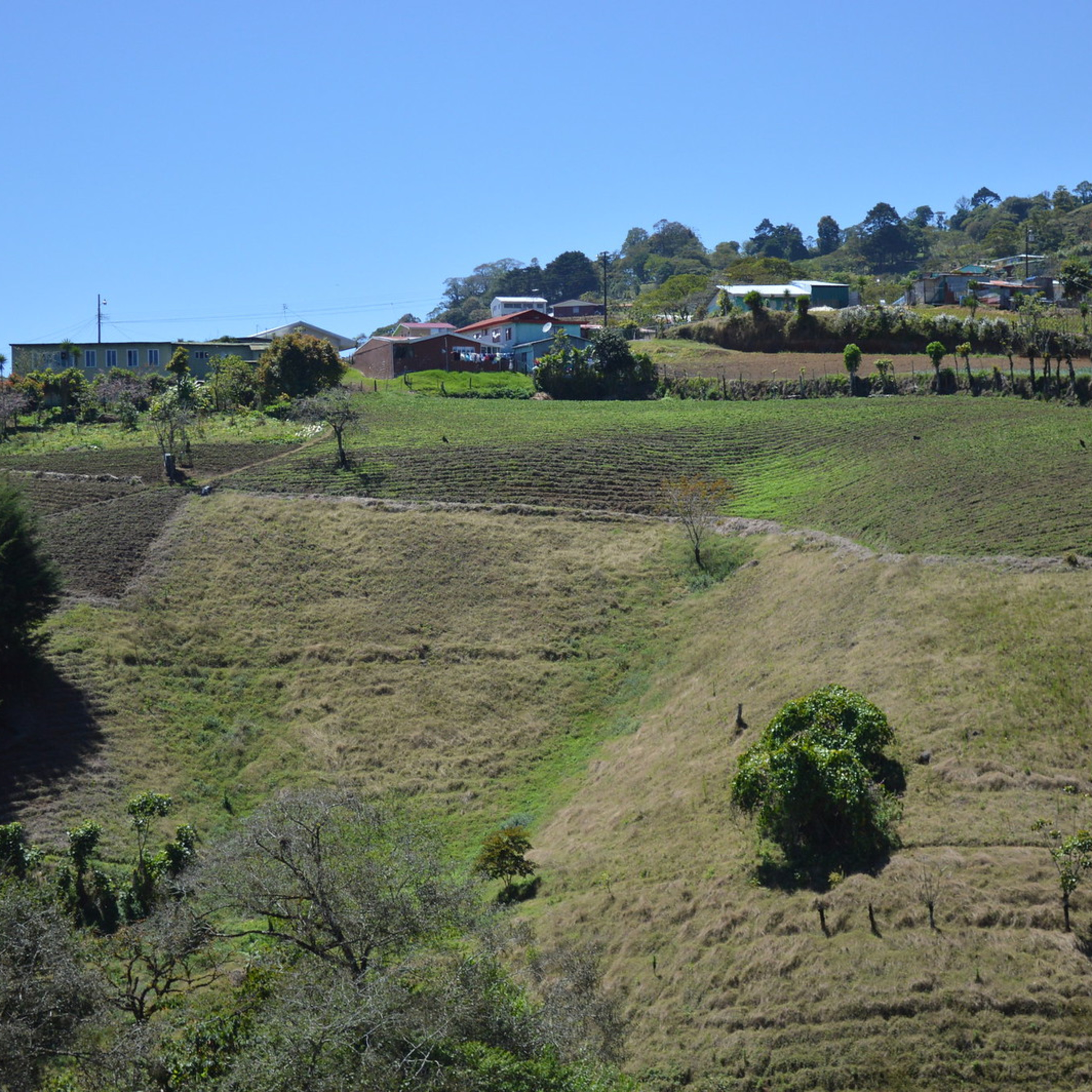 Buenas Prácticas Agrícolas