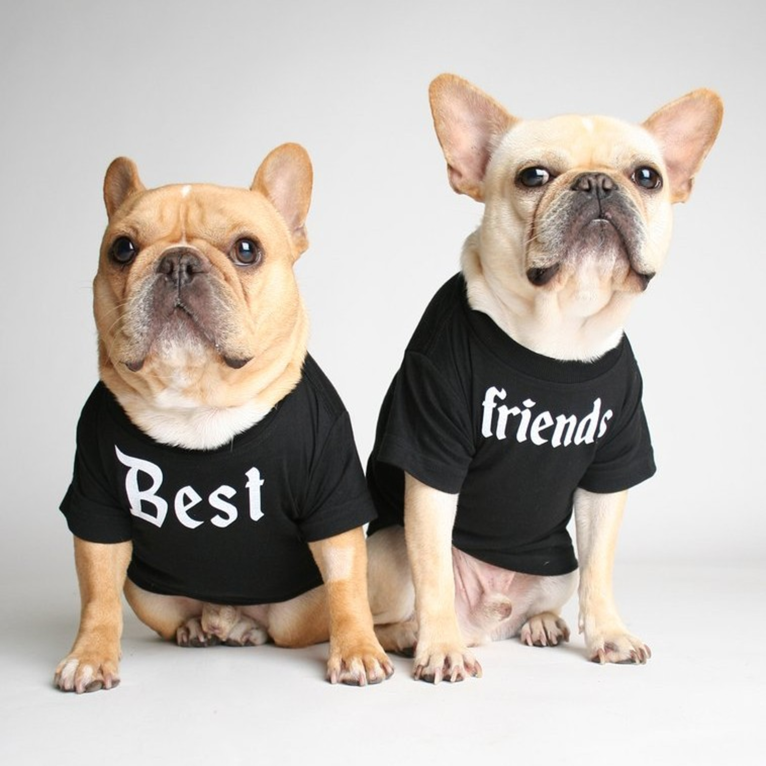 Friends will be friends