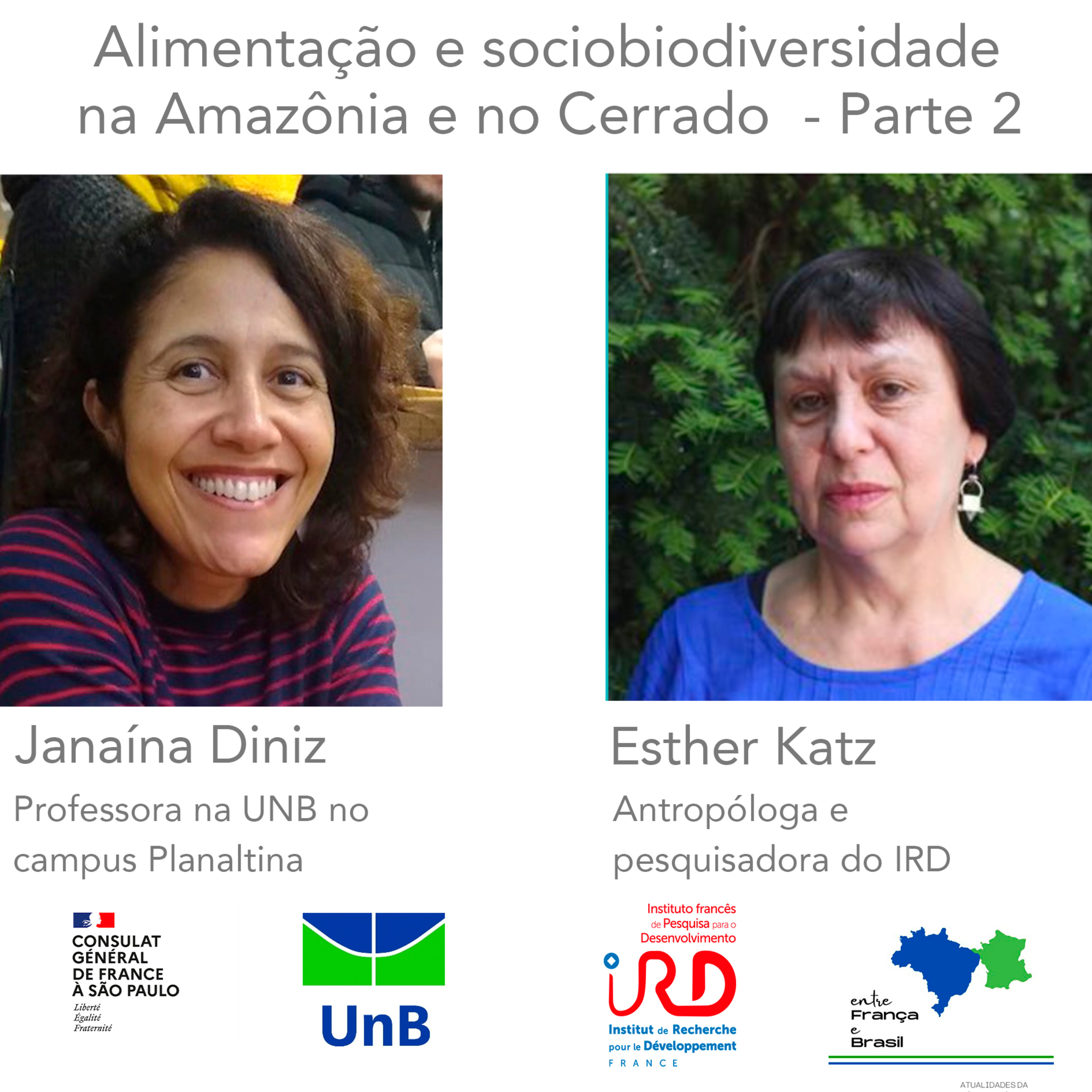 Entre França e Brasil: atualidades da cooperação científica