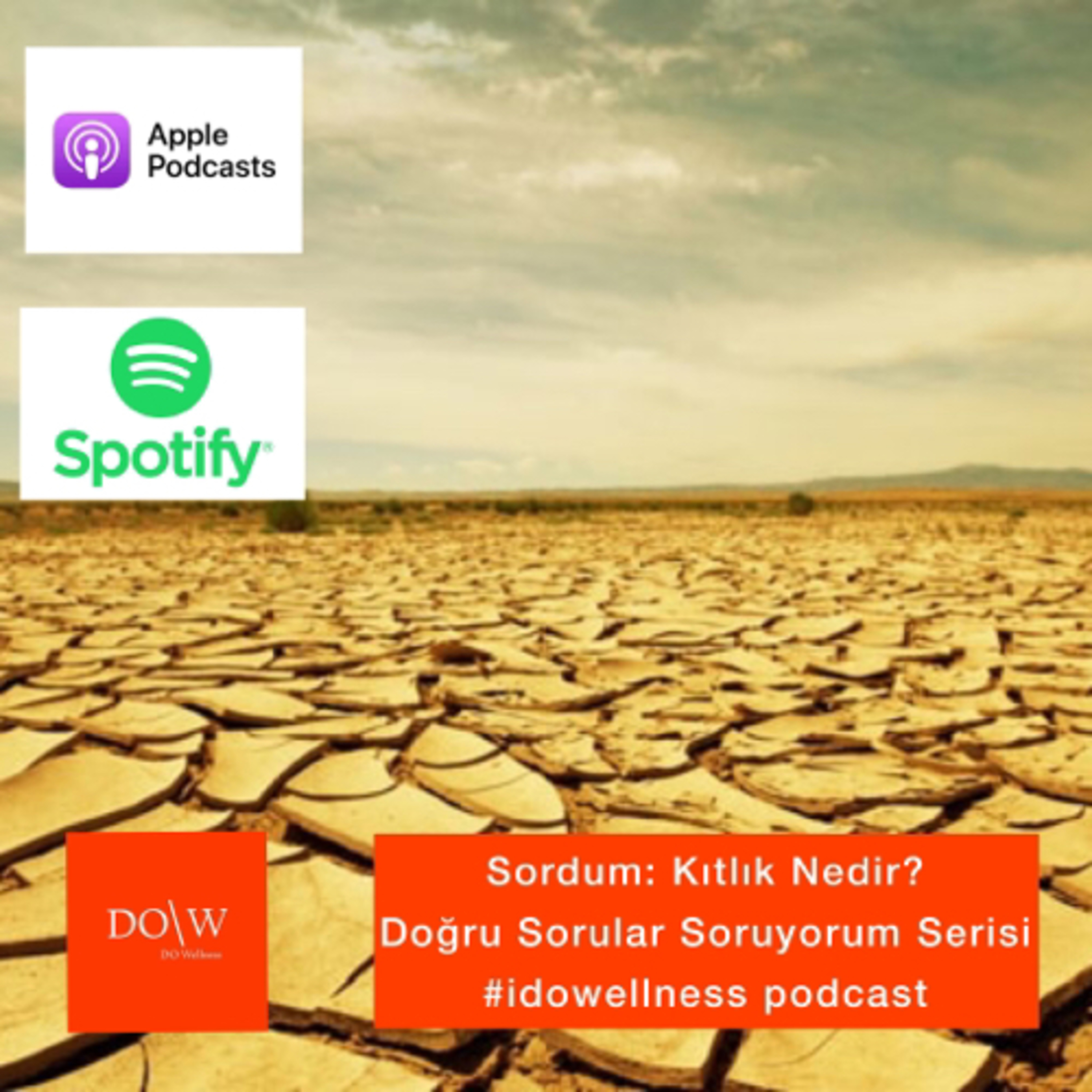 Doğru Sorular Soruyorum