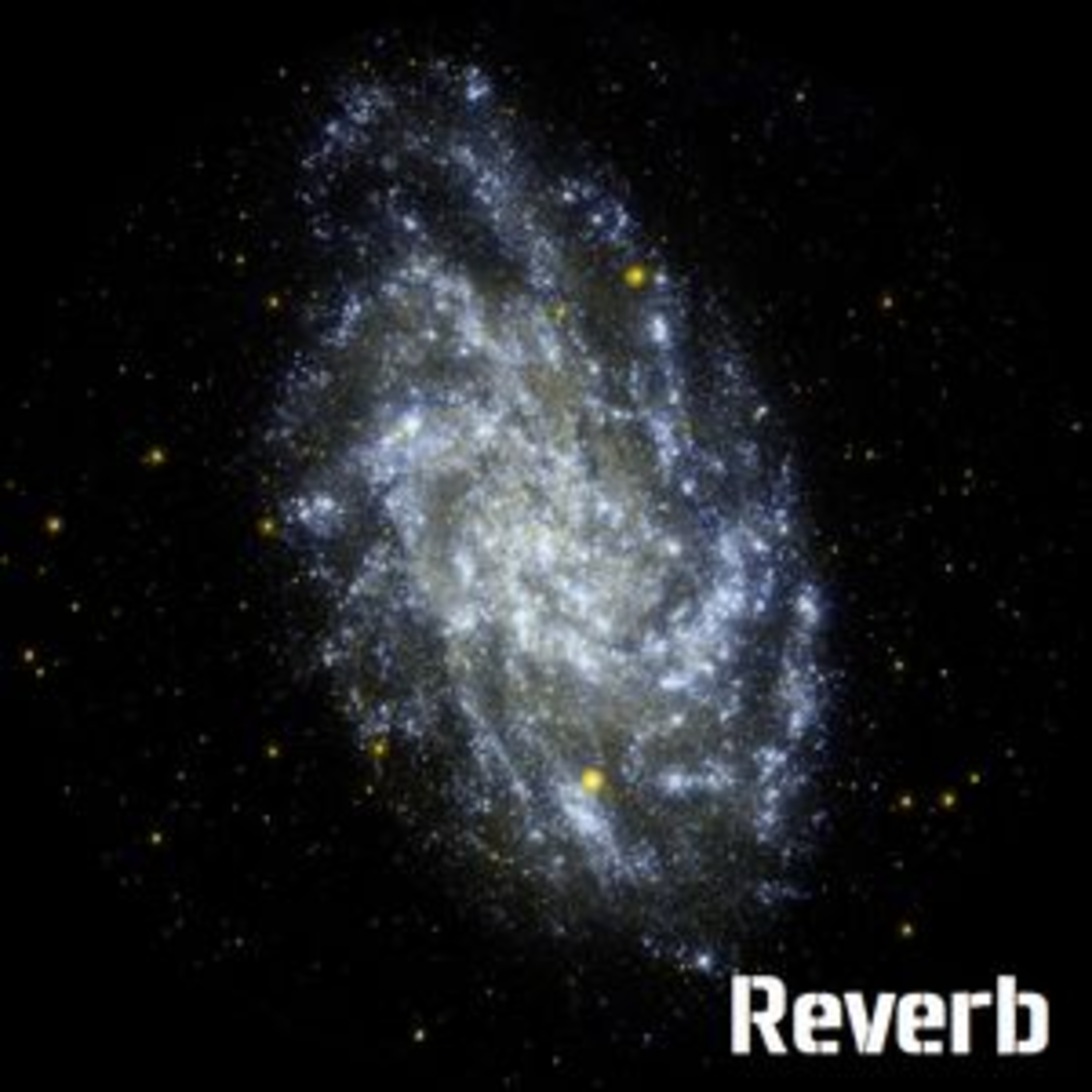 Reverb - Podcast