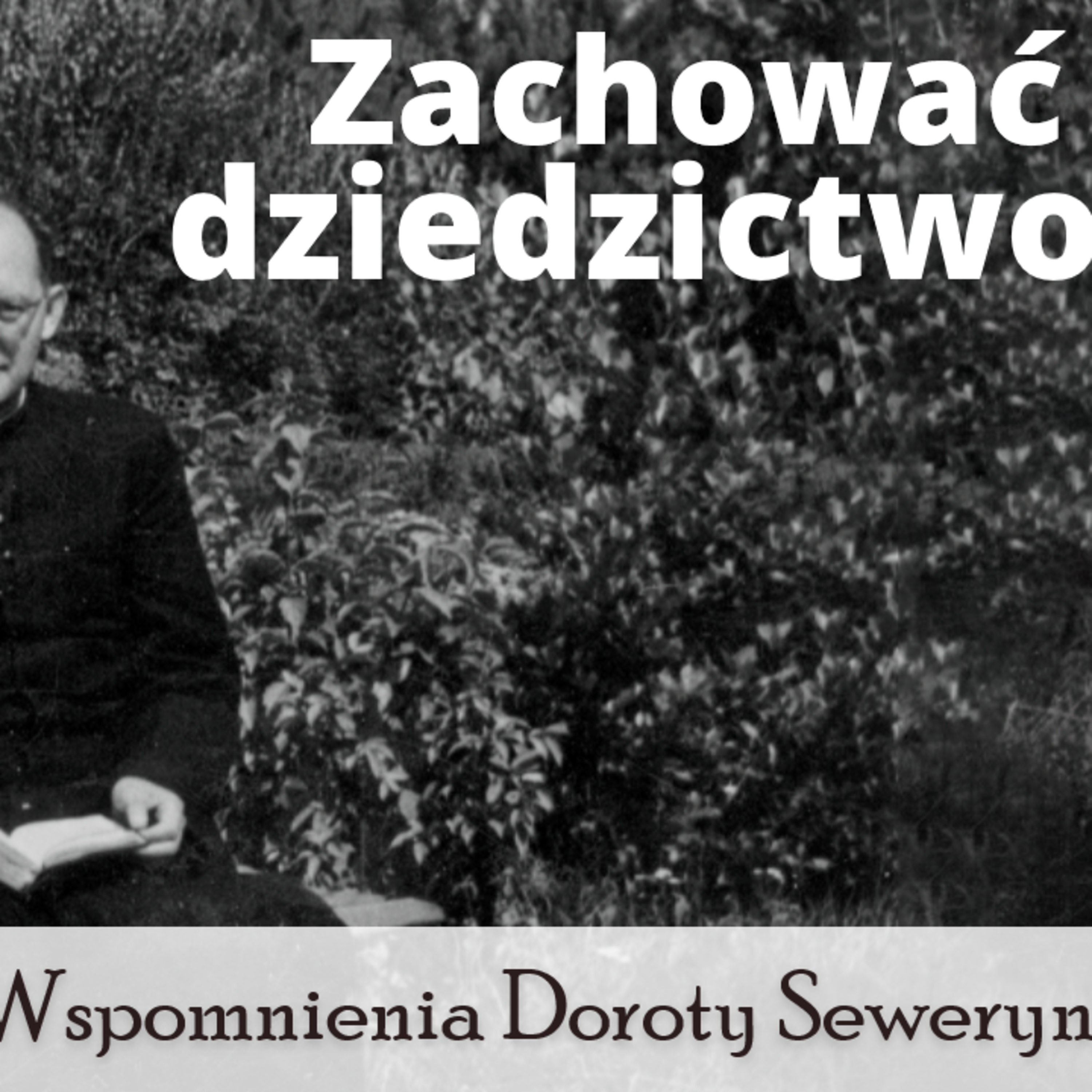 Oazowy
