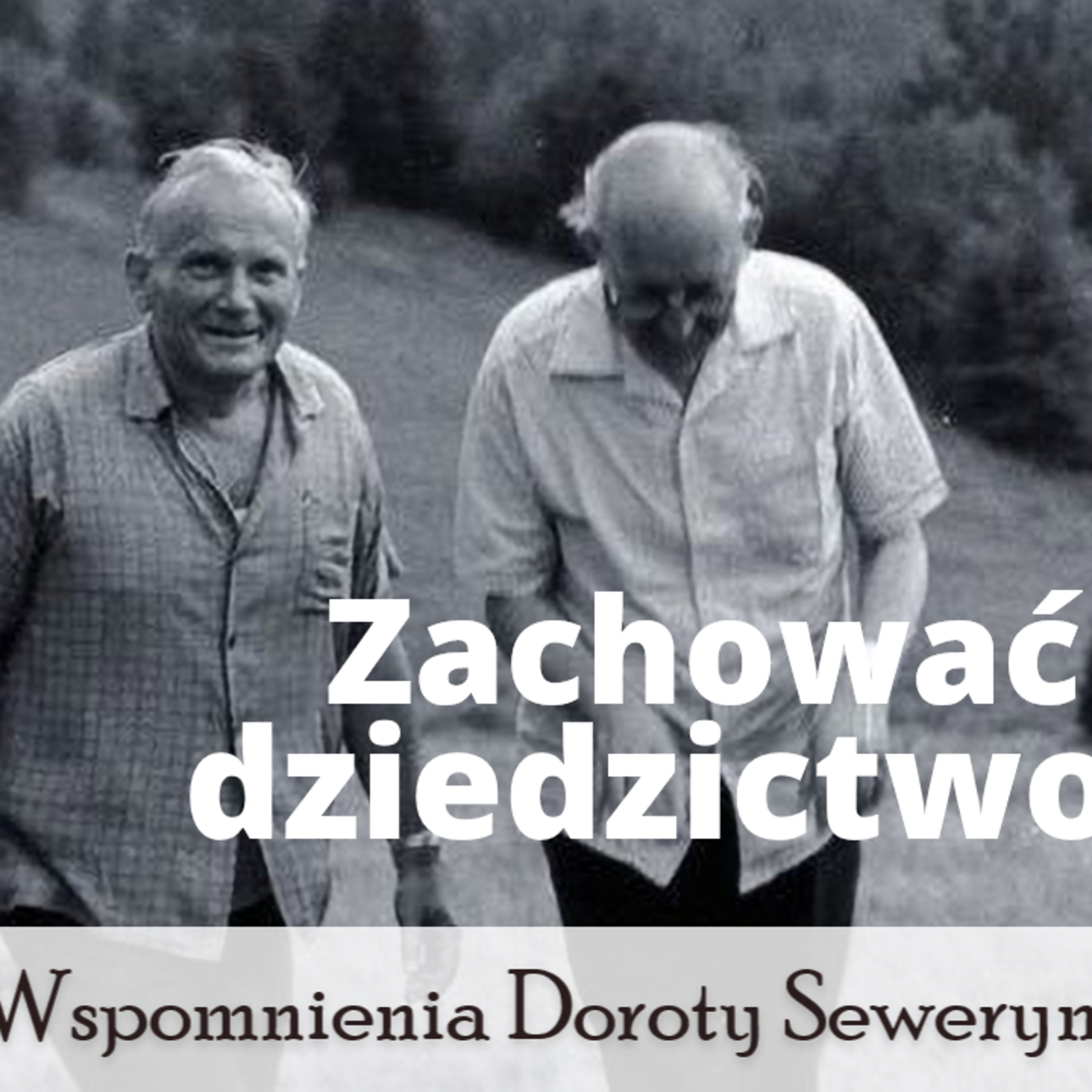 Oazowy