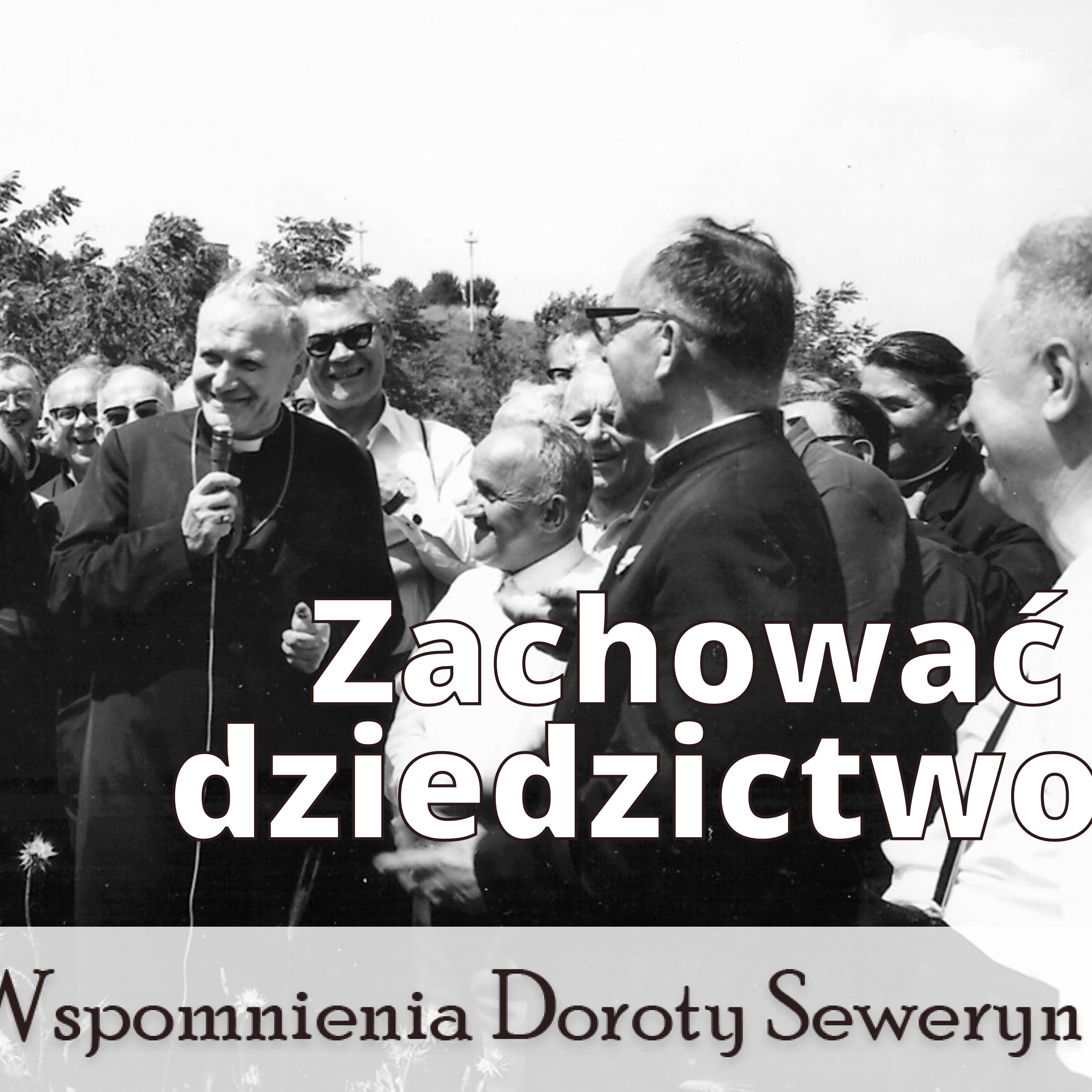 Oazowy