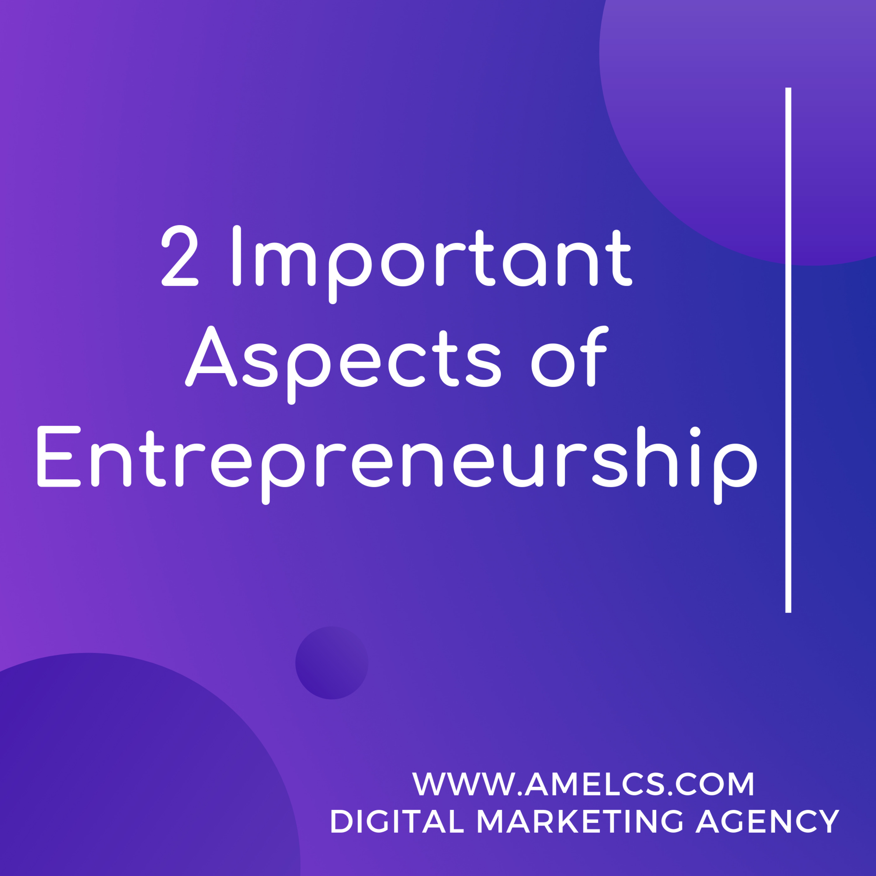 2 Important Aspects of Entrepreneurship episode artwork