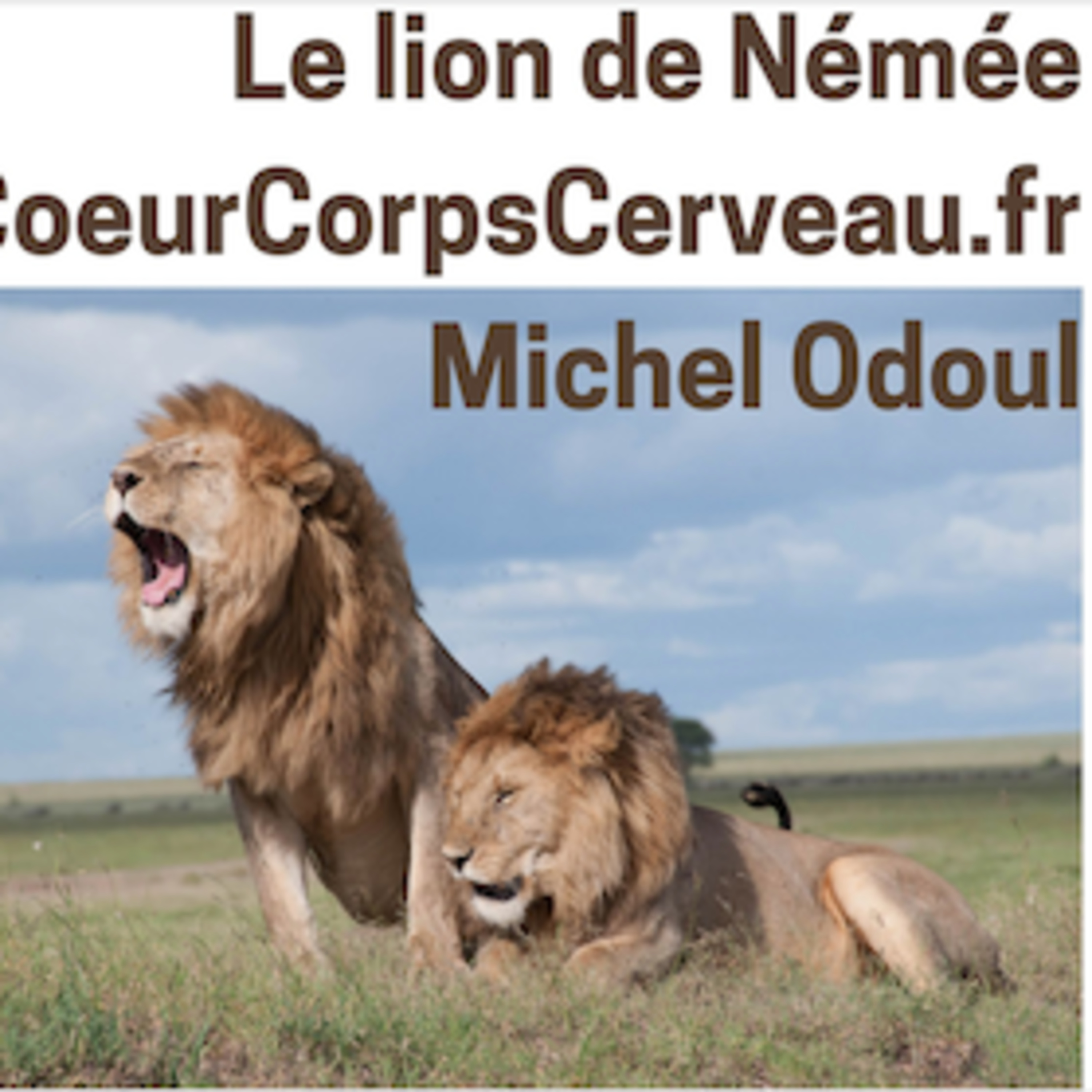 Coeur Corps Cerveau par Gagnerot Damien