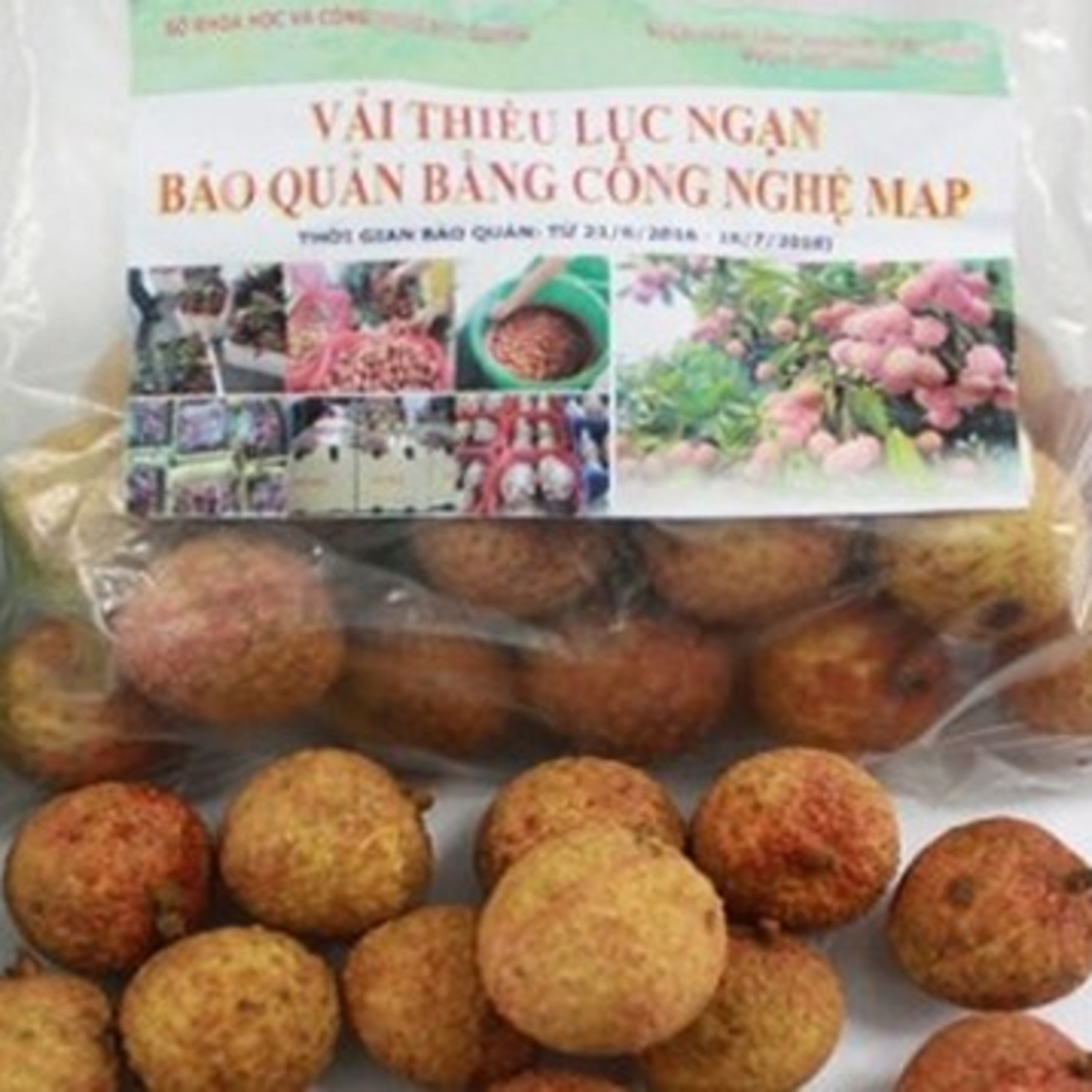 VOV - Kết nối công nghệ: Gia tăng giá trị nông sản bằng ứng dụng công nghệ bảo quản màng MAP episode artwork