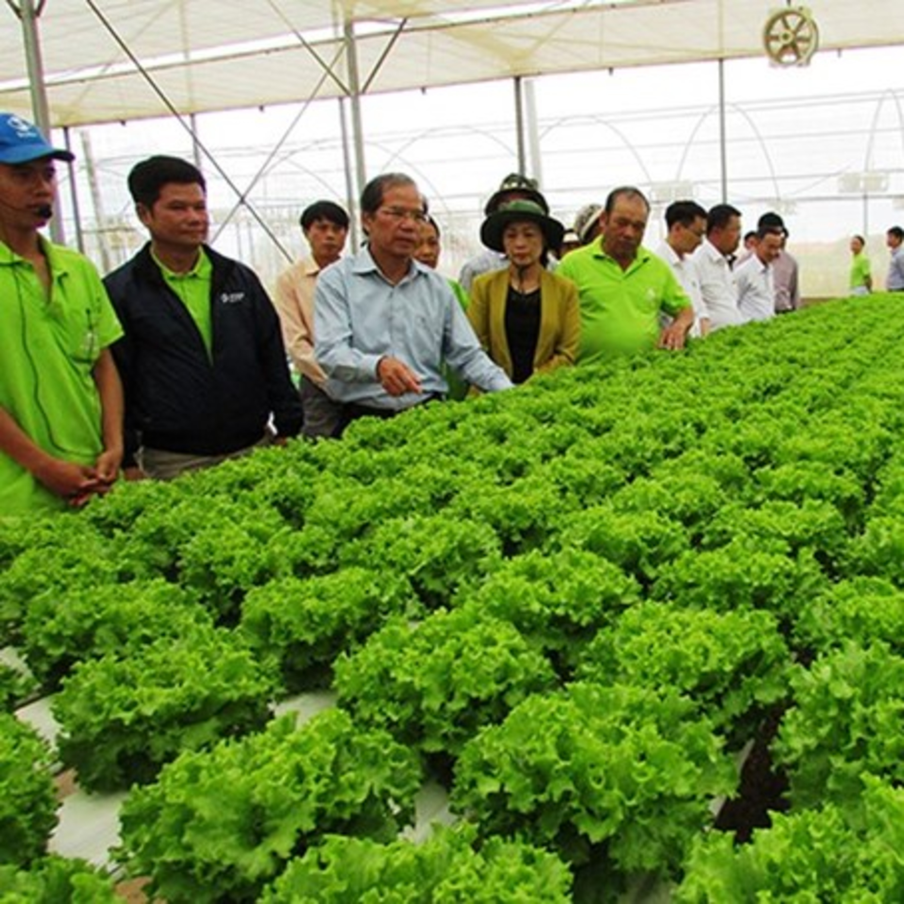 VOV - Sống chung với biến đổi khí hậu: Ứng dụng khoa học công nghệ: Hướng đi cho các hợp tác xã episode artwork