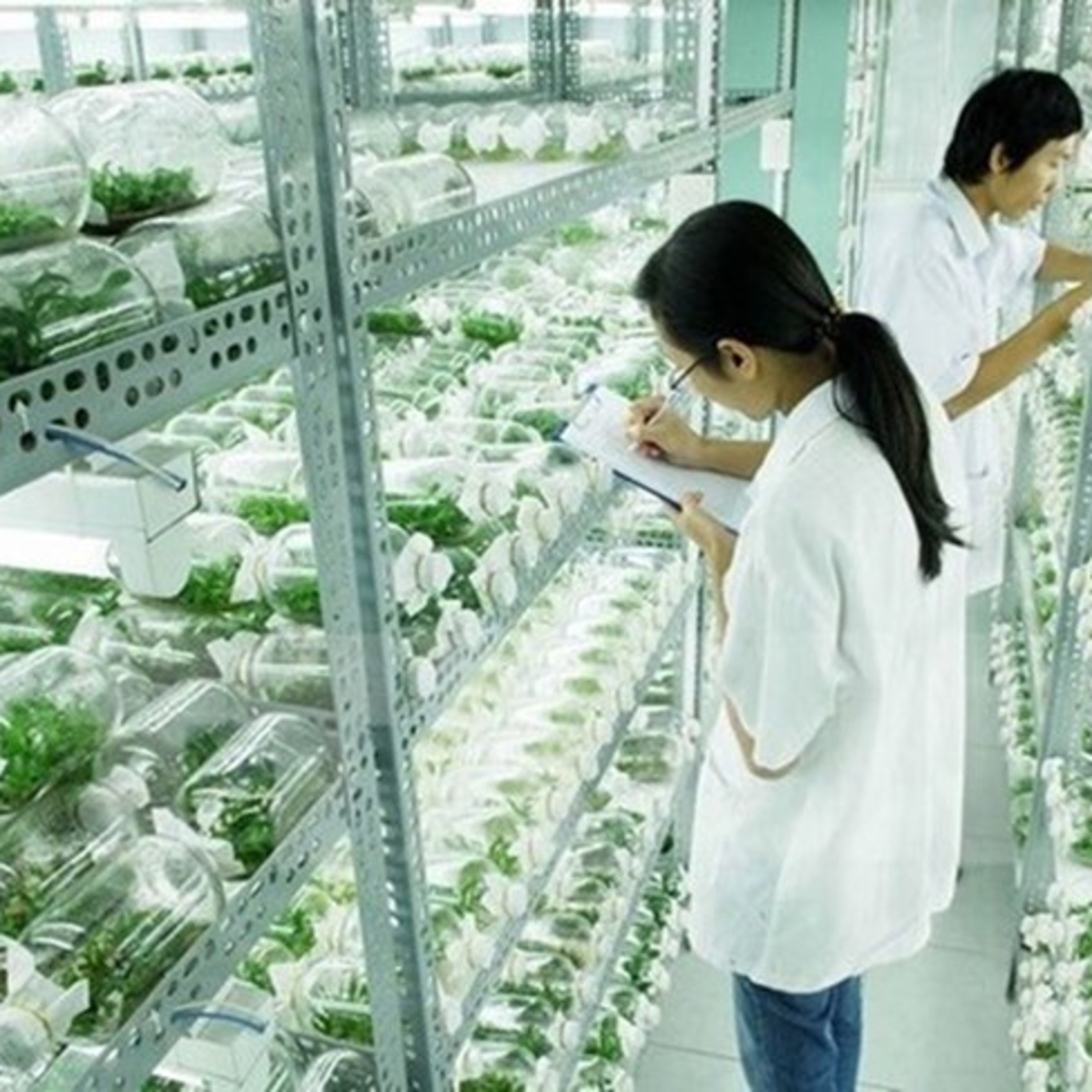VOV - Kết nối công nghệ: Ứng dụng công nghệ sinh học trong sản xuất nông nghiệp Việt Nam - đâu là giải pháp? episode artwork