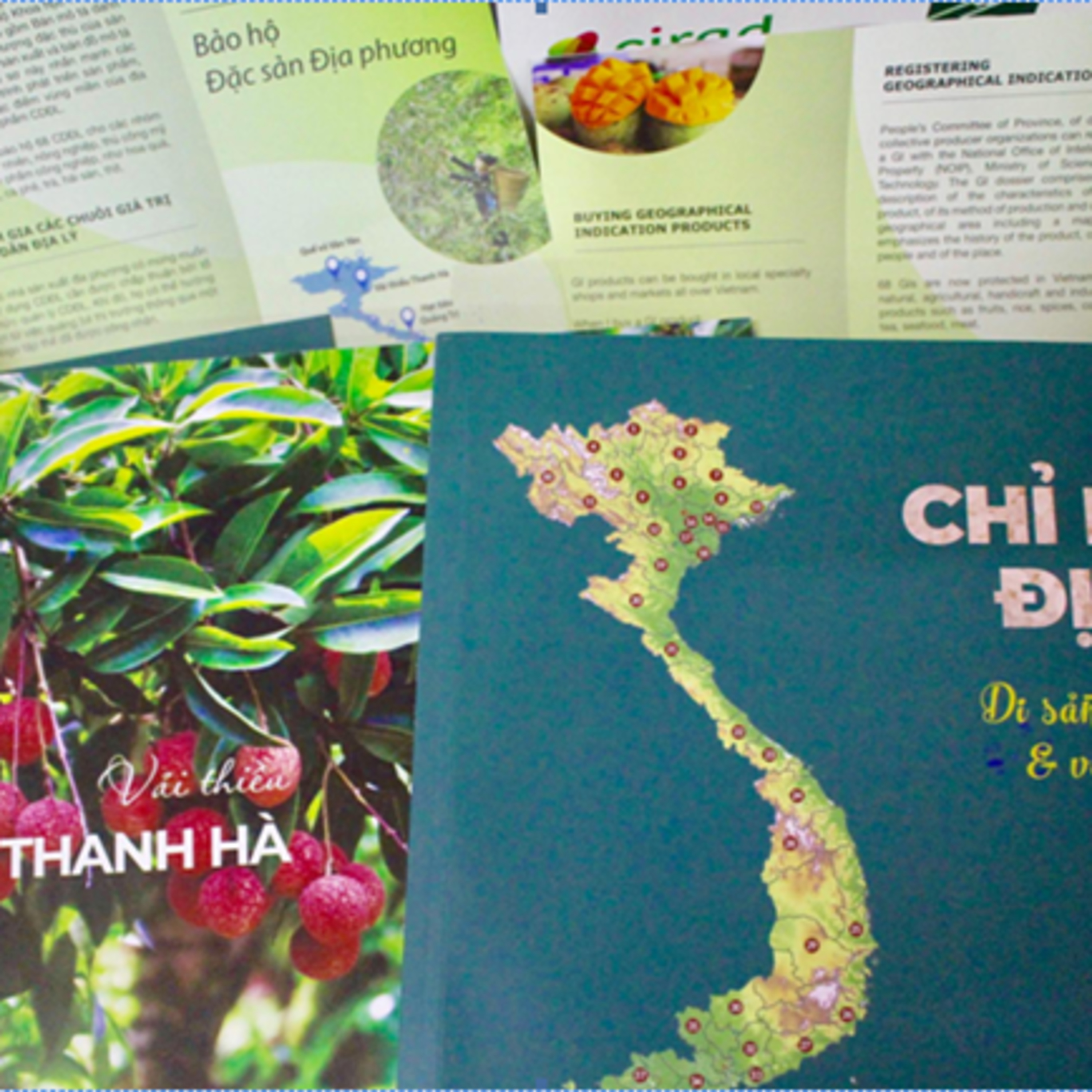 VOV - Kết nối công nghệ: Bảo hộ sở hữu trí tuệ và chỉ dẫn địa lý - giúp nâng cao giá trị hàng nông sản Việt Nam episode artwork