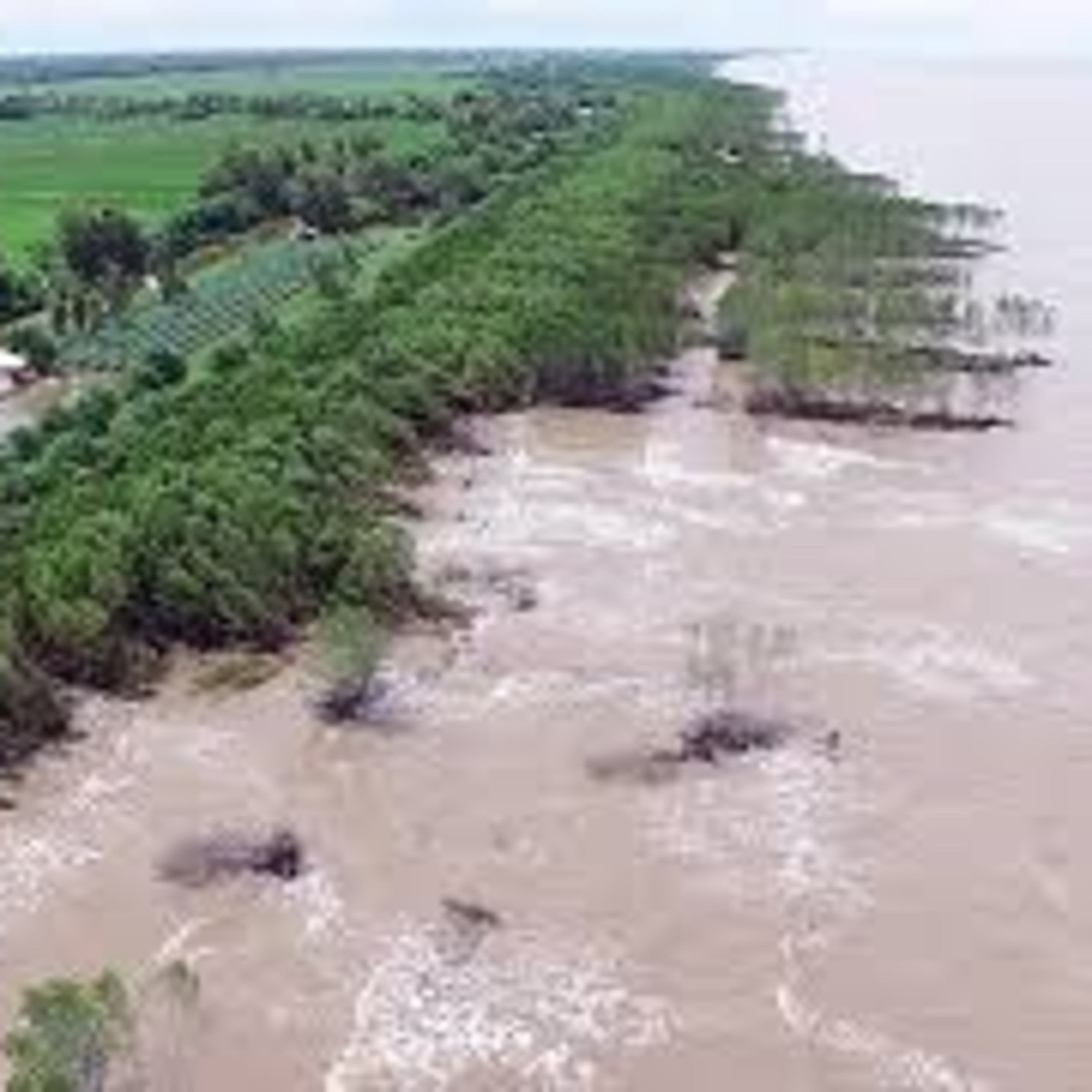 VOV - Sống chung với biến đổi khí hậu: Xây dựng năng lực ứng phó cho cộng đồng trước biến đổi khí hậu episode artwork