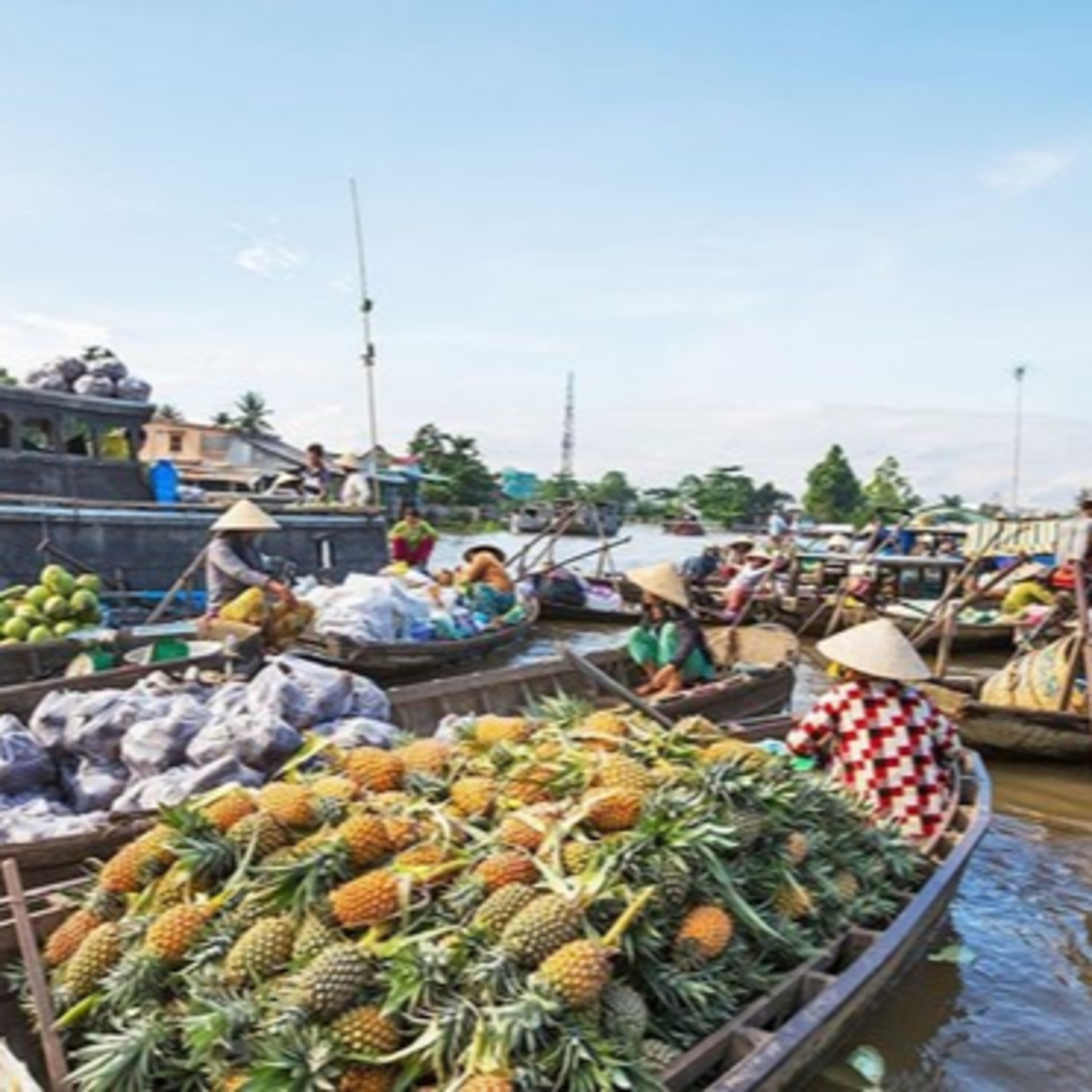 VOV - Sống chung với biến đổi khí hậu: Đồng bằng sông Cửu Long - "thuận thiên" để phát triển episode artwork