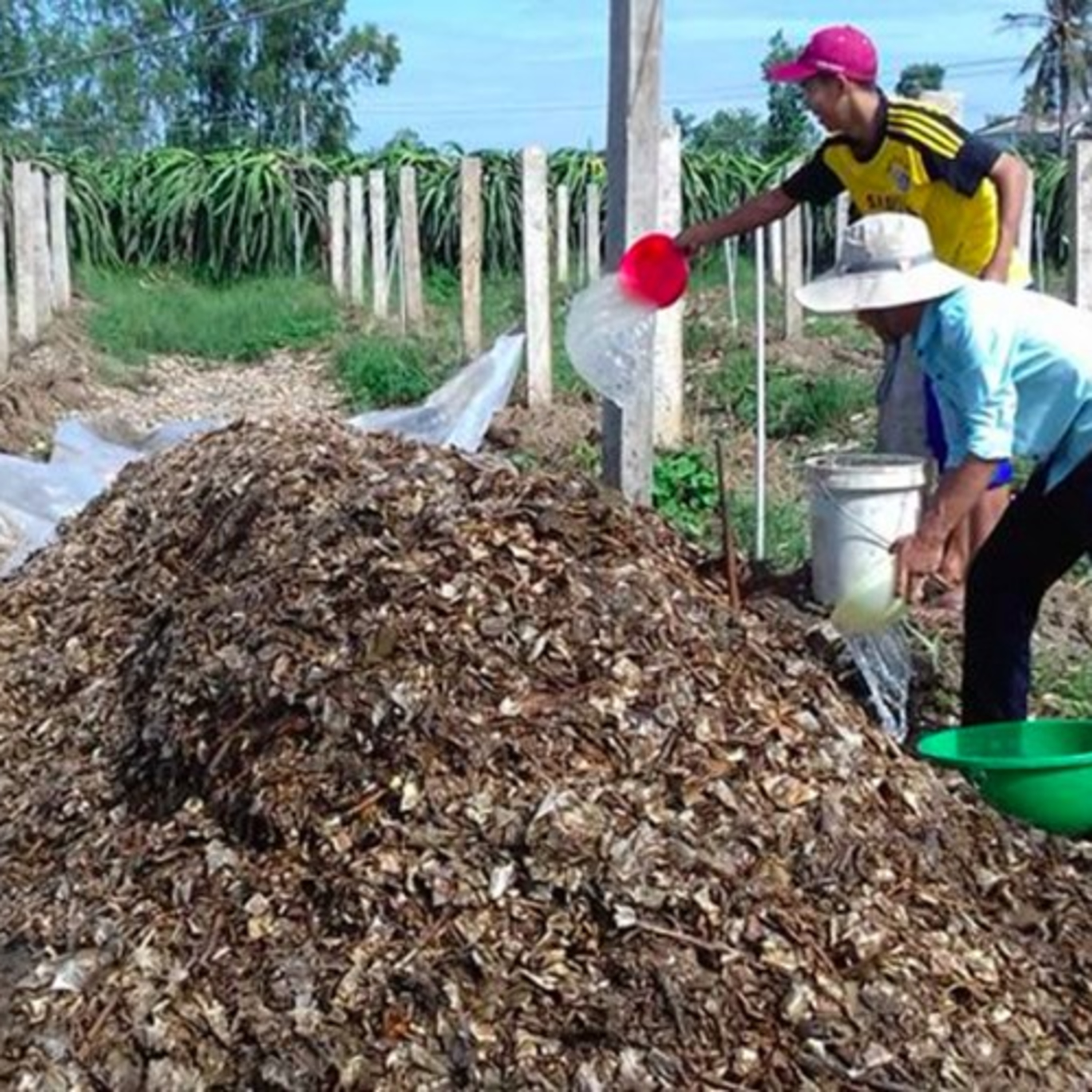VOV - Biến đổi khí hậu: Nhiều hoạt động tích cực của thanh niên trong ứng phó với biến đổi khí hậu episode artwork