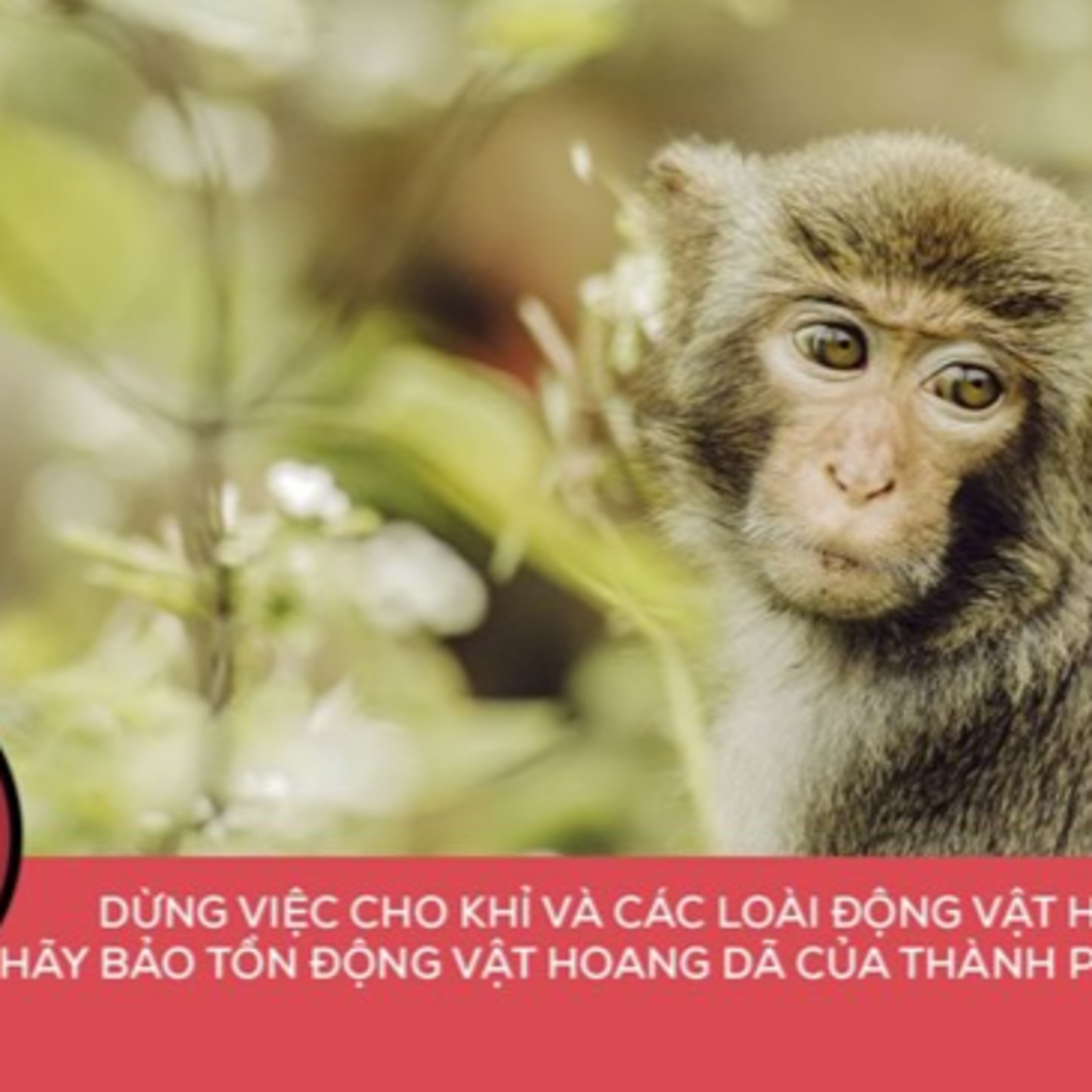 VOV - KHCN và Môi trường