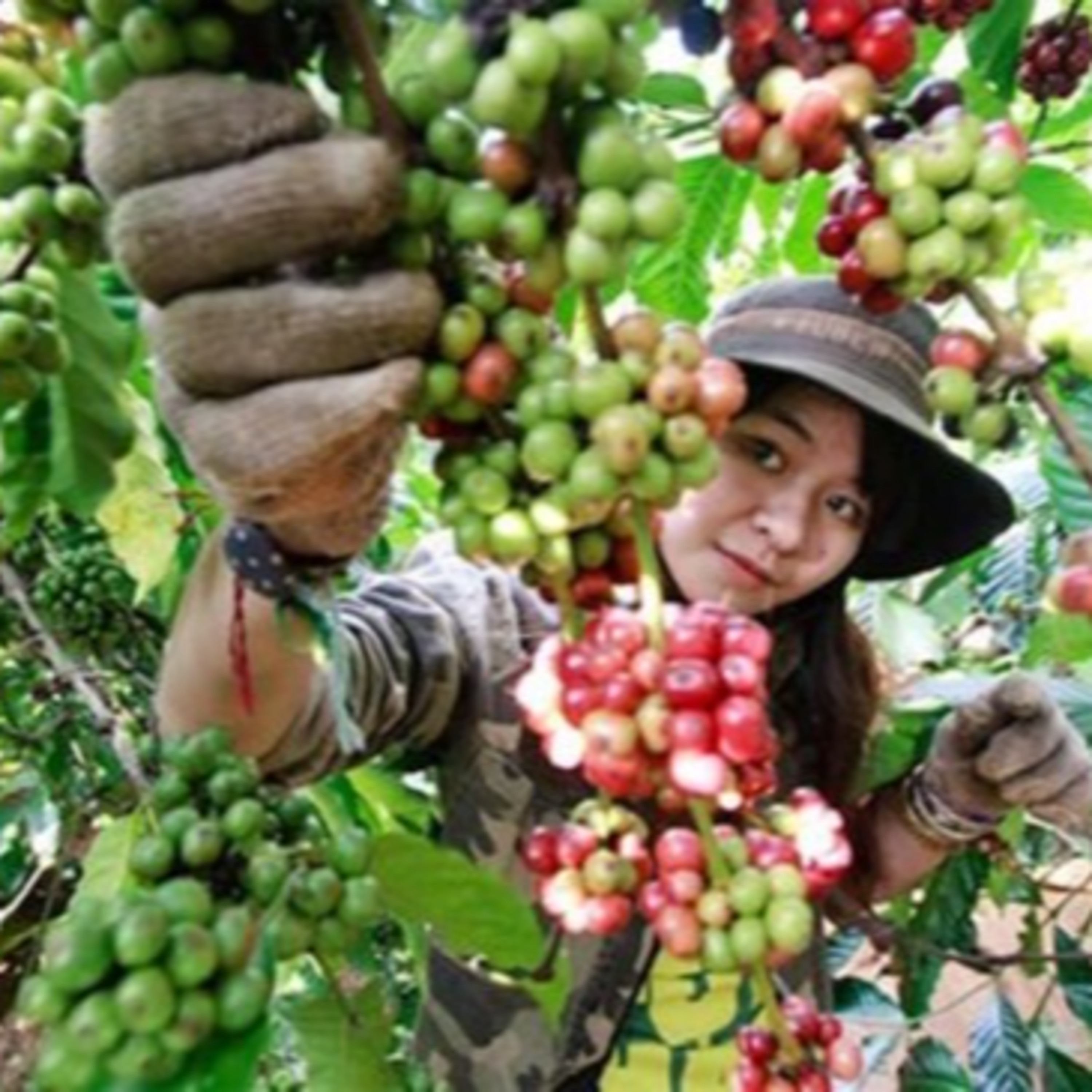 VOV - Biến đổi khí hậu: Hỗ trợ phụ nữ phát triển sinh kế thích ứng với biến đổi khí hậu sau ảnh hưởng của dịch covid-19 episode artwork