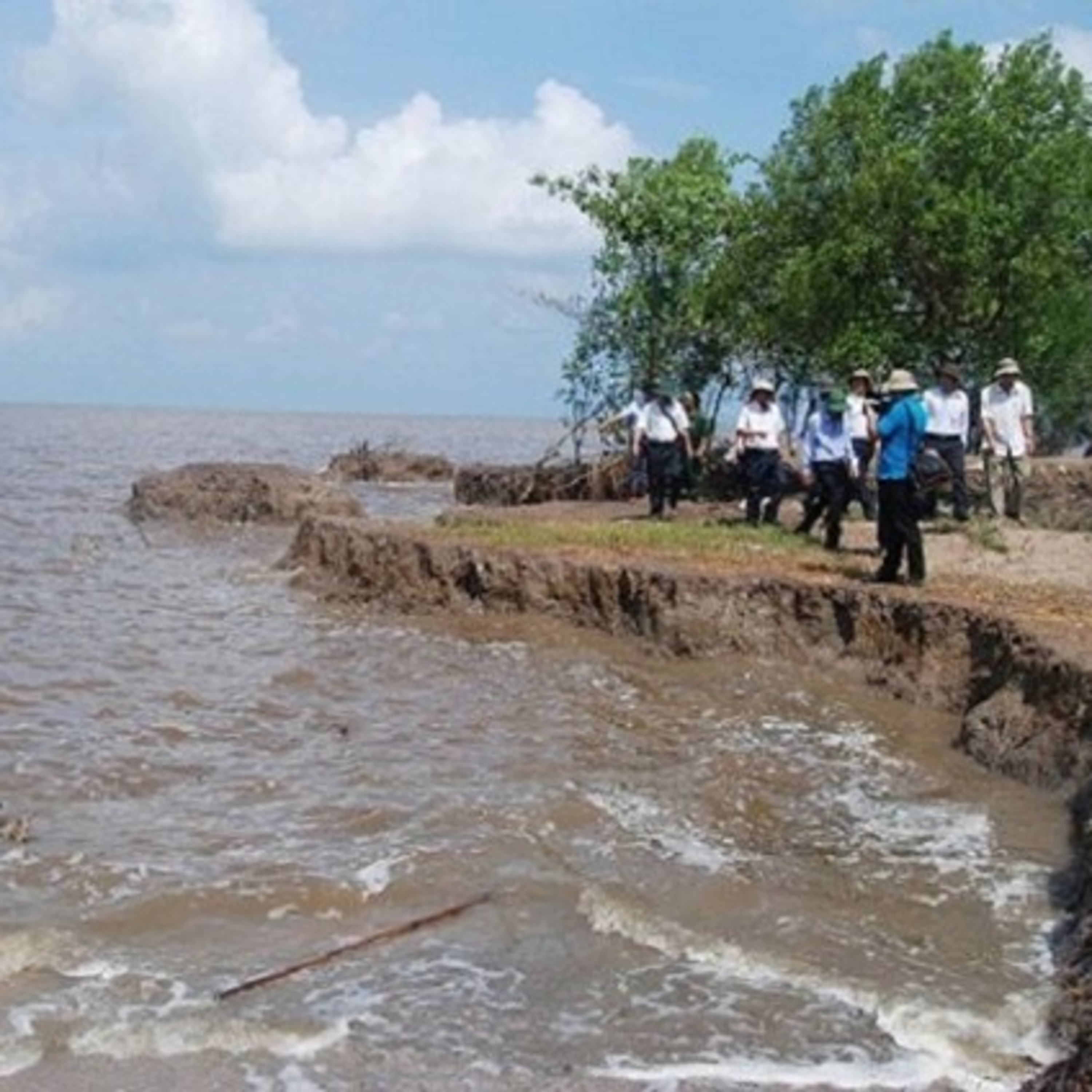 VOV - Biến đổi khí hậu: Mối nguy sạt lở bờ sông, xói lở bờ biển - tác động từ biến đổi khí hậu  episode artwork