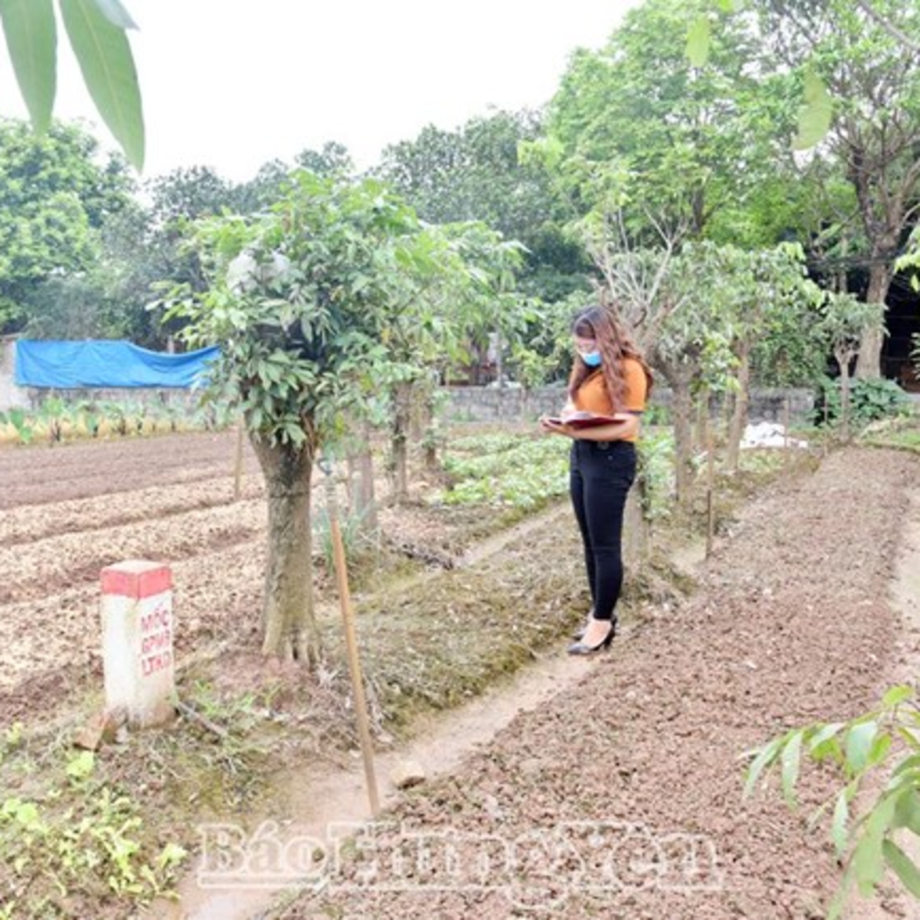 Tài nguyên môi trường: Hưng Yên: Đón đầu để đợi đền bù giải phóng mặt bằng – Quyết liệt ngăn chạn, tránh hệ lụy episode artwork