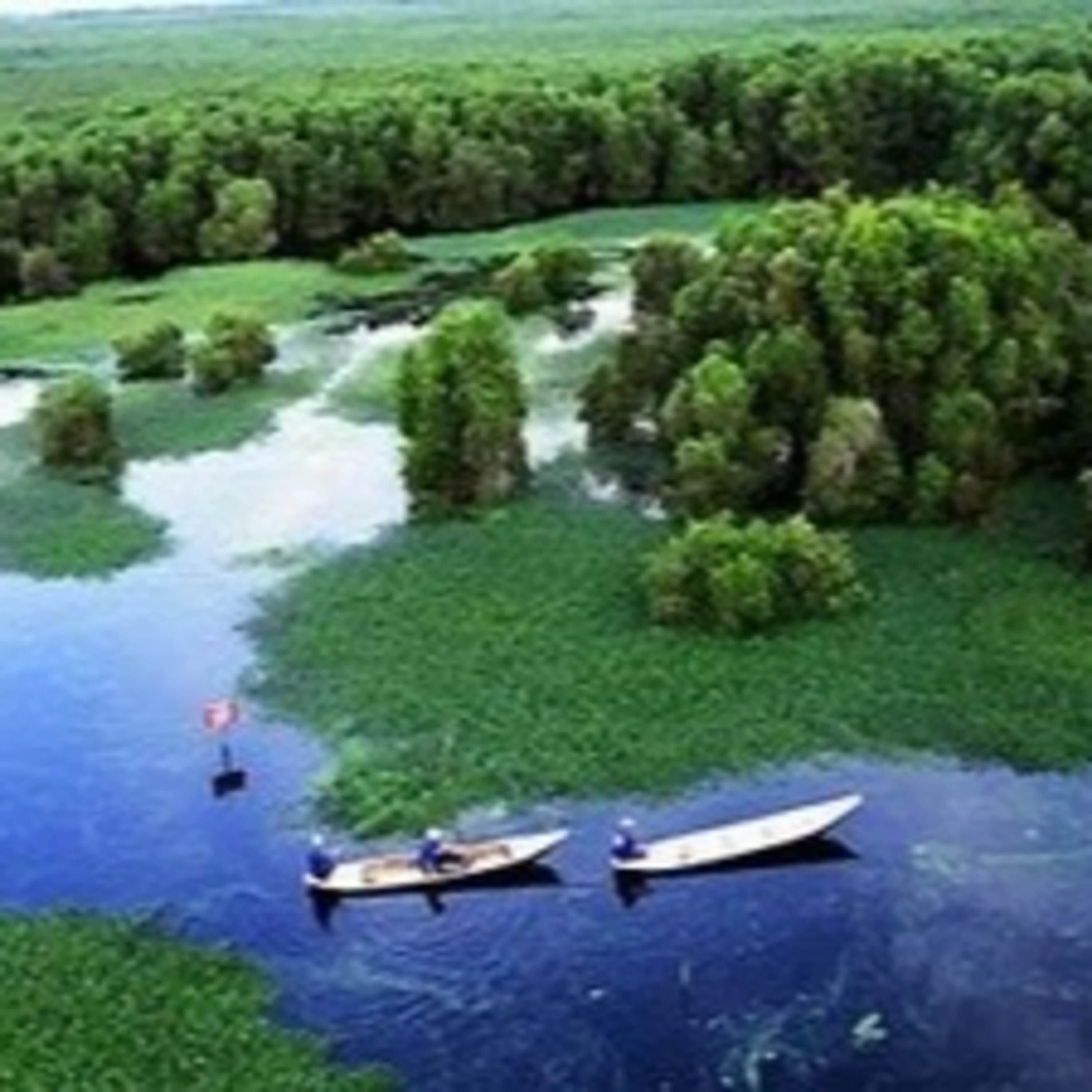 Tài nguyên môi trường: Bắc Kạn: Phát huy hiệu quả khu Ramsar Ba Bể episode artwork