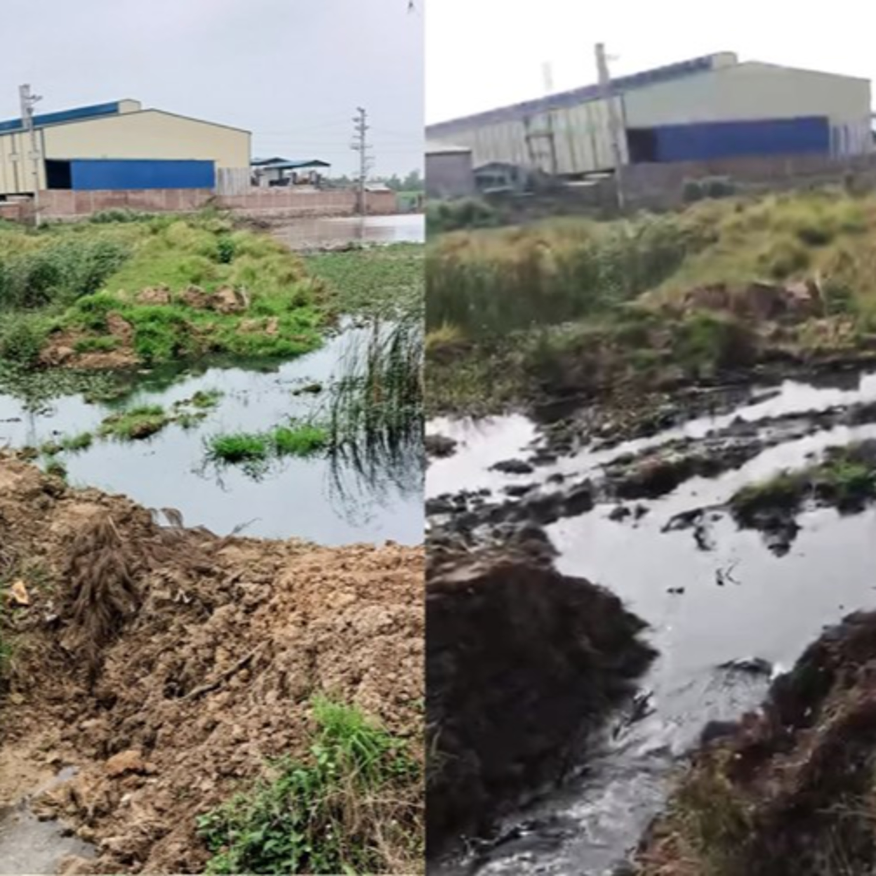 Tài nguyên môi trường: Thay đổi phương thức quản lý, kiểm soát về môi trường đối với các dự án tiềm ẩn nguy cơ gây ô nhiễm môi trường episode artwork
