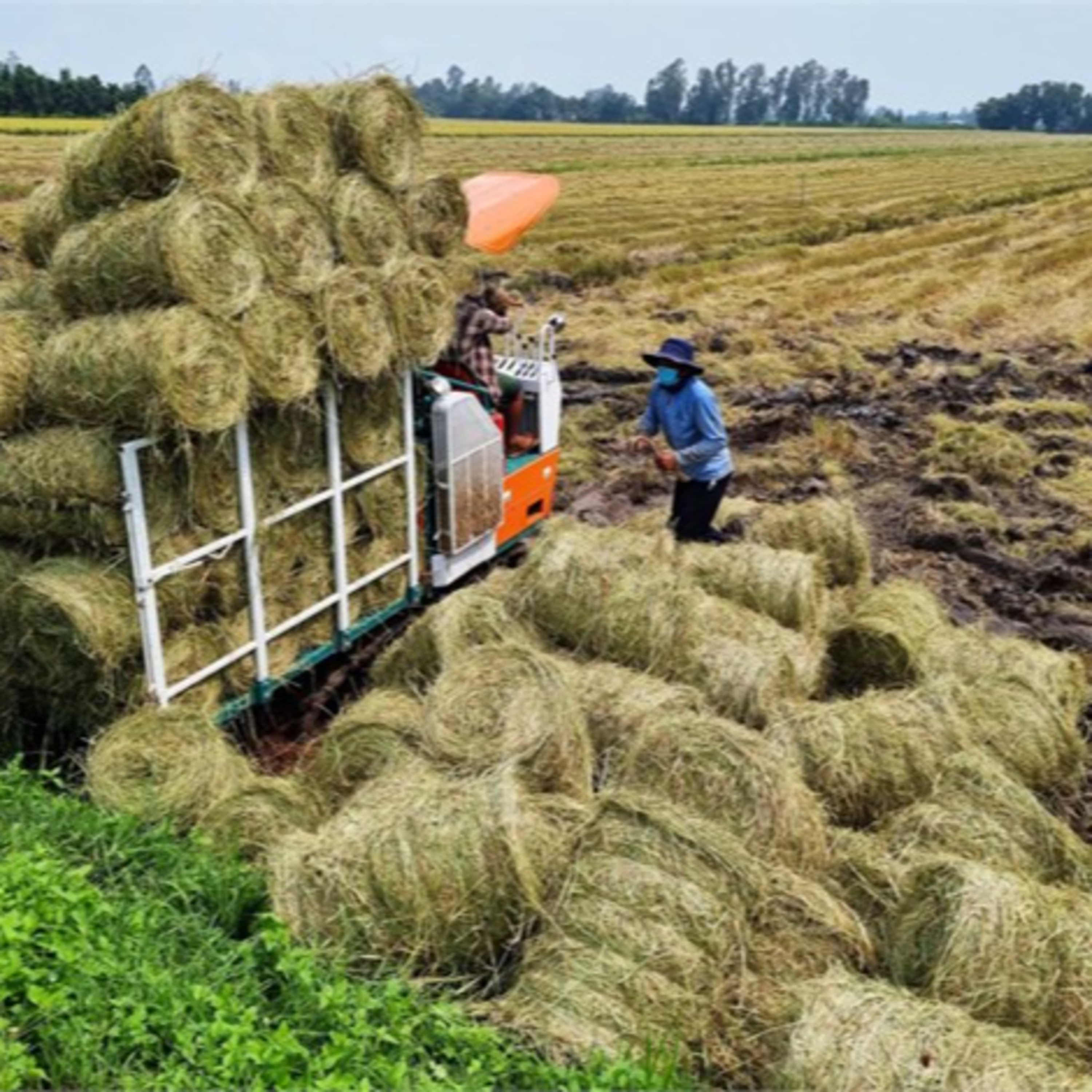 Biến đổi khí hậu - Hướng tới kinh tế tuần hoàn trong nông nghiệp, thính ứng với biến đổi khí hậu episode artwork